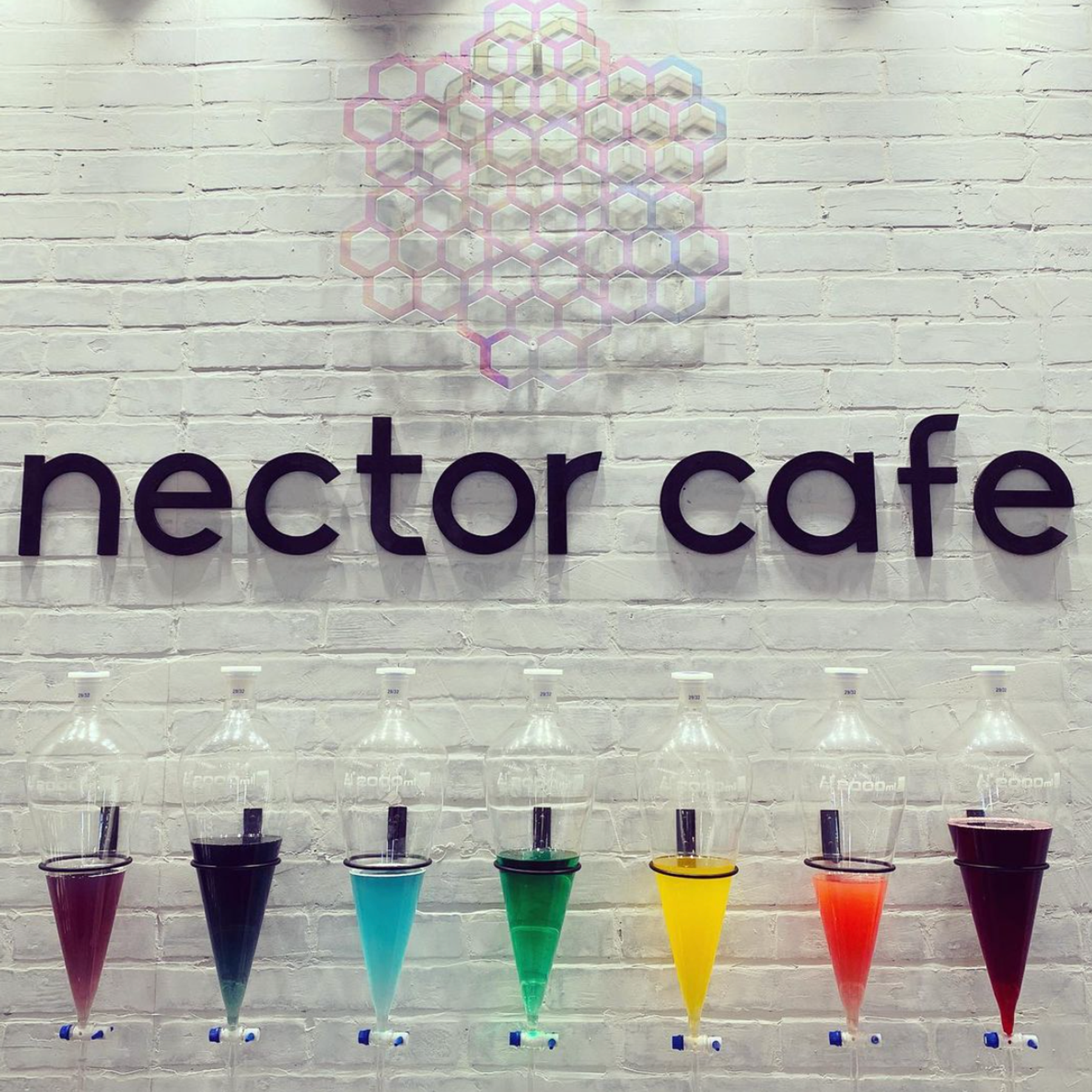Photo 3 of Nector Cafe in Hilo, Big Island