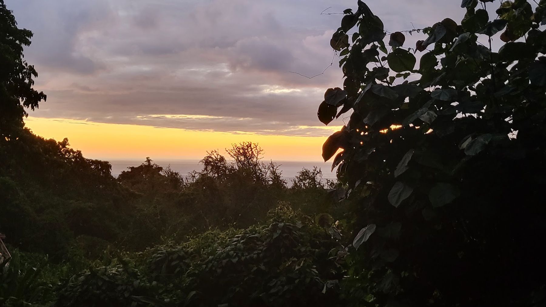 Photo 8 of Dragonfly Ranch in South Kona, Big-island