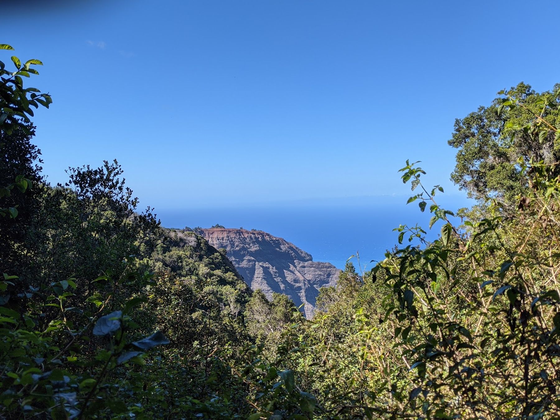 Nuʻalolo Trail in Waimea, Kaua‘i photo 5