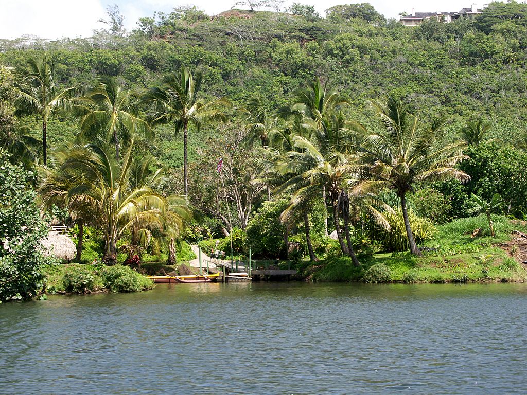 Smith's Fern Grotto Tour in Kapaʻa, Kaua‘i photo 5