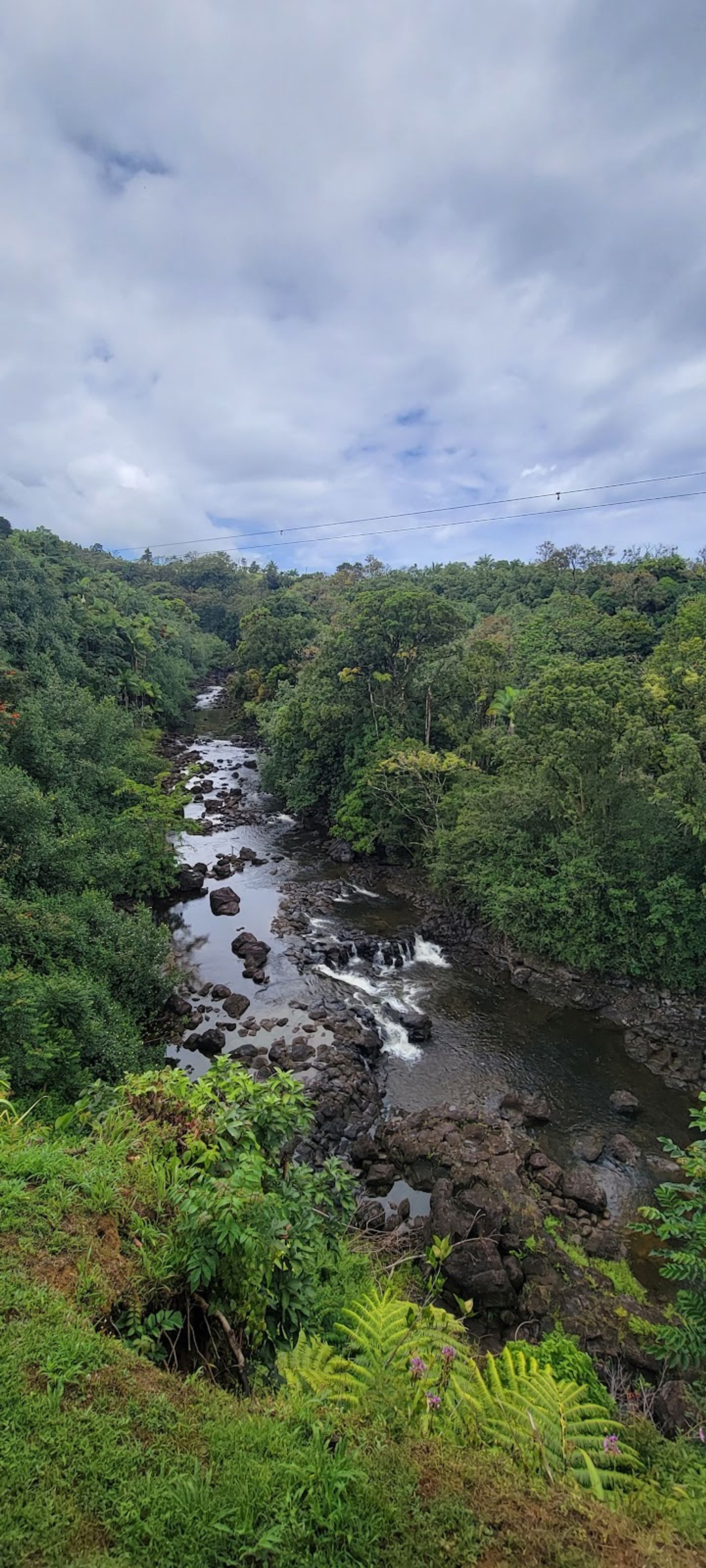 Photo 7 of Wailea Horseback Adventure - Waipio Ridge Stables LLC in Greater Hilo, Big Island