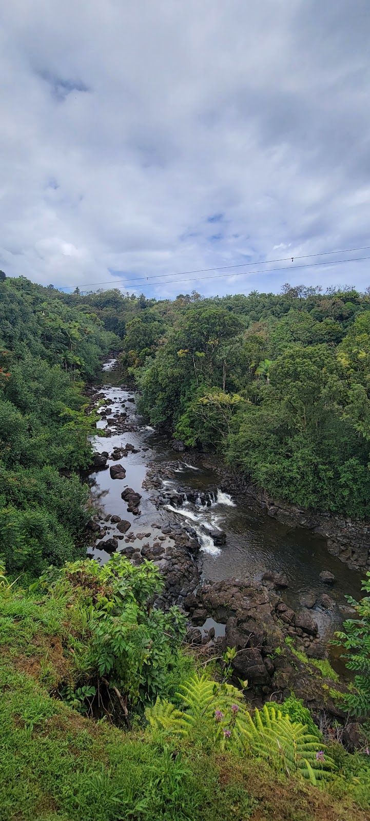 Photo 7 of Wailea Horseback Adventure - Waipio Ridge Stables LLC in Greater Hilo, Big Island