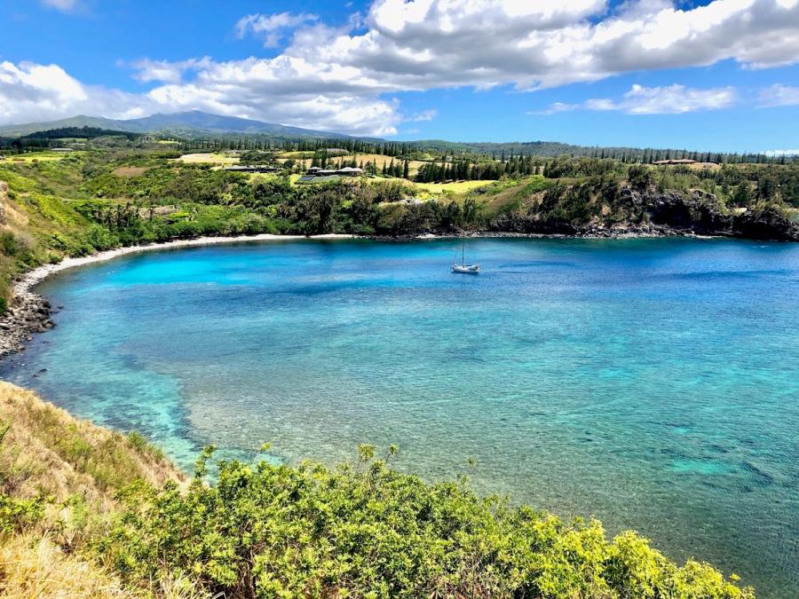Photo 1 of Honolua Bay in Kapalua, Maui