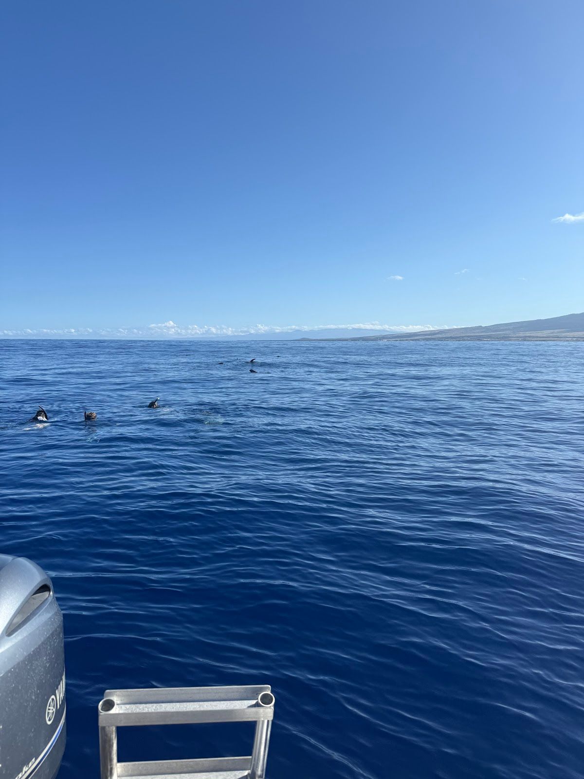 Photo 3 of Kaimana Ocean Safari in Kailua-Kona, Big Island