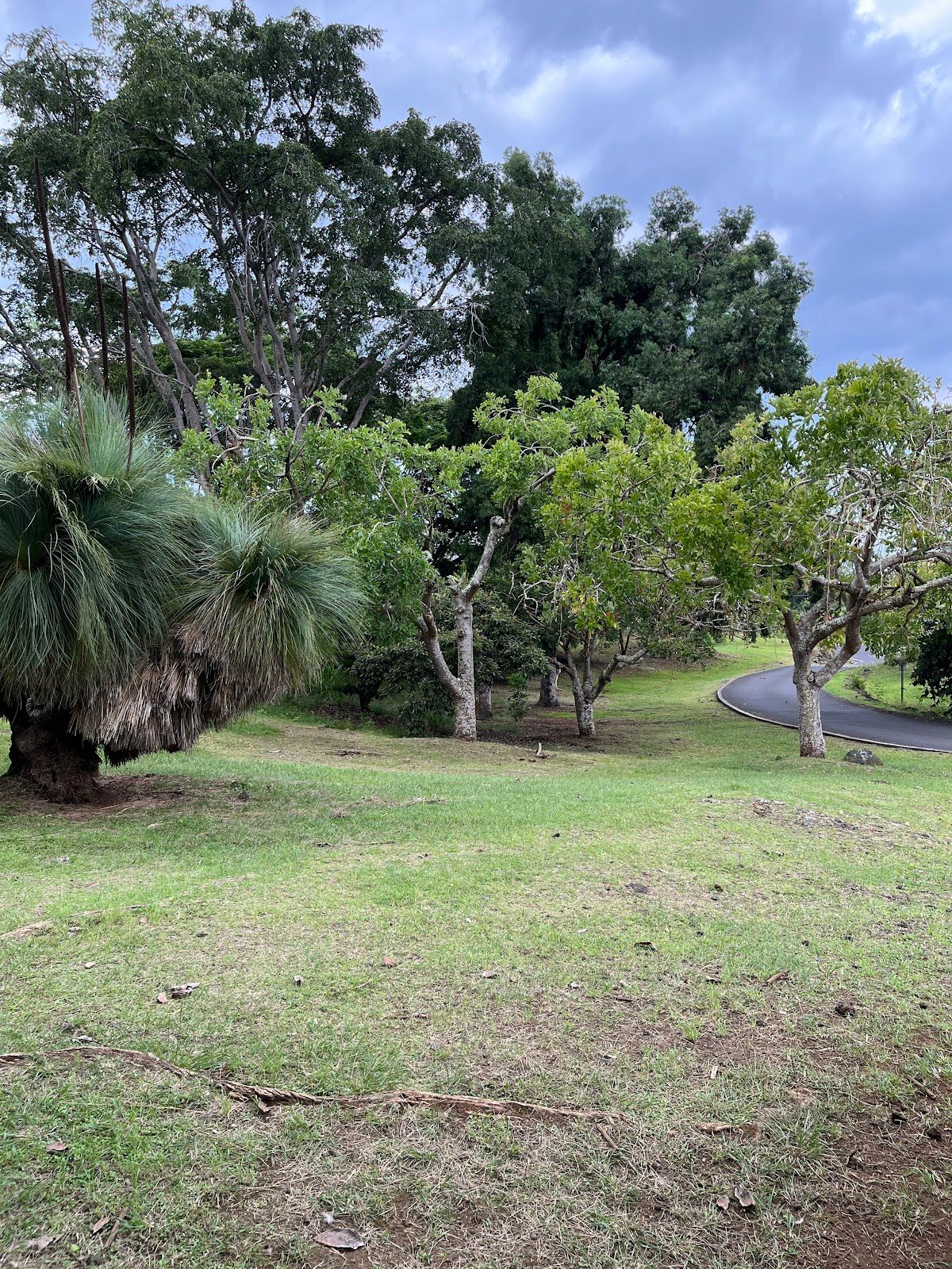 Photo 5 of Manukā Nature Trail in South Point, Big Island