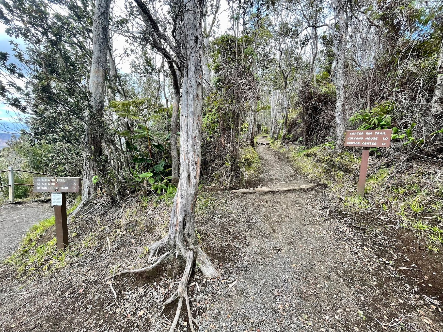 Photo 2 of Byron Ledge Trail in Volcano, Big Island