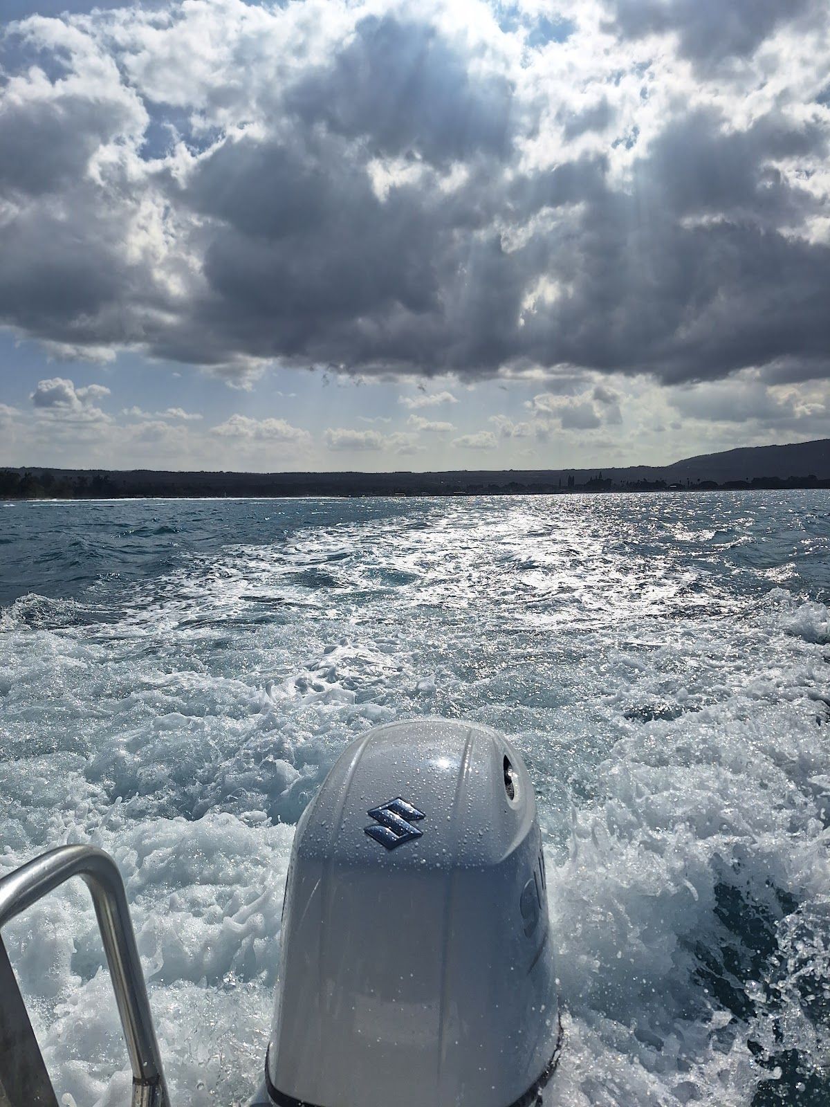Photo 8 of Hawaii Adventure Diving in Haleʻiwa, Oahu
