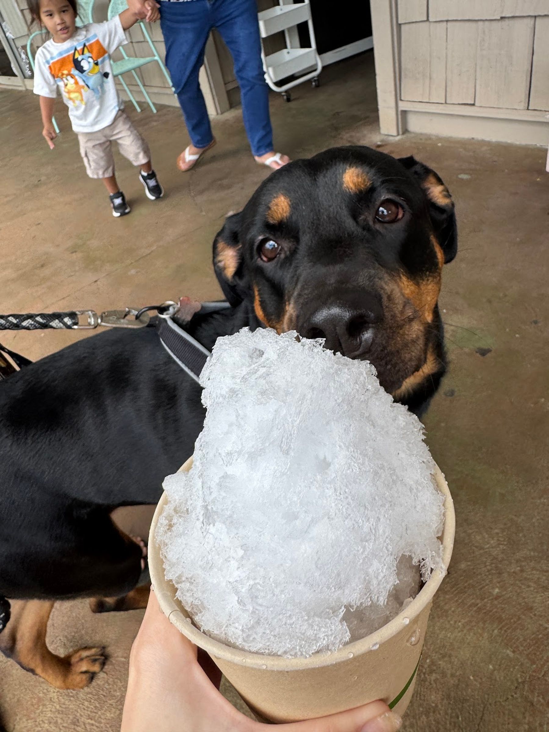 Photo 7 of Aunty Kalei's Shave Ice in Pearl City, Oahu