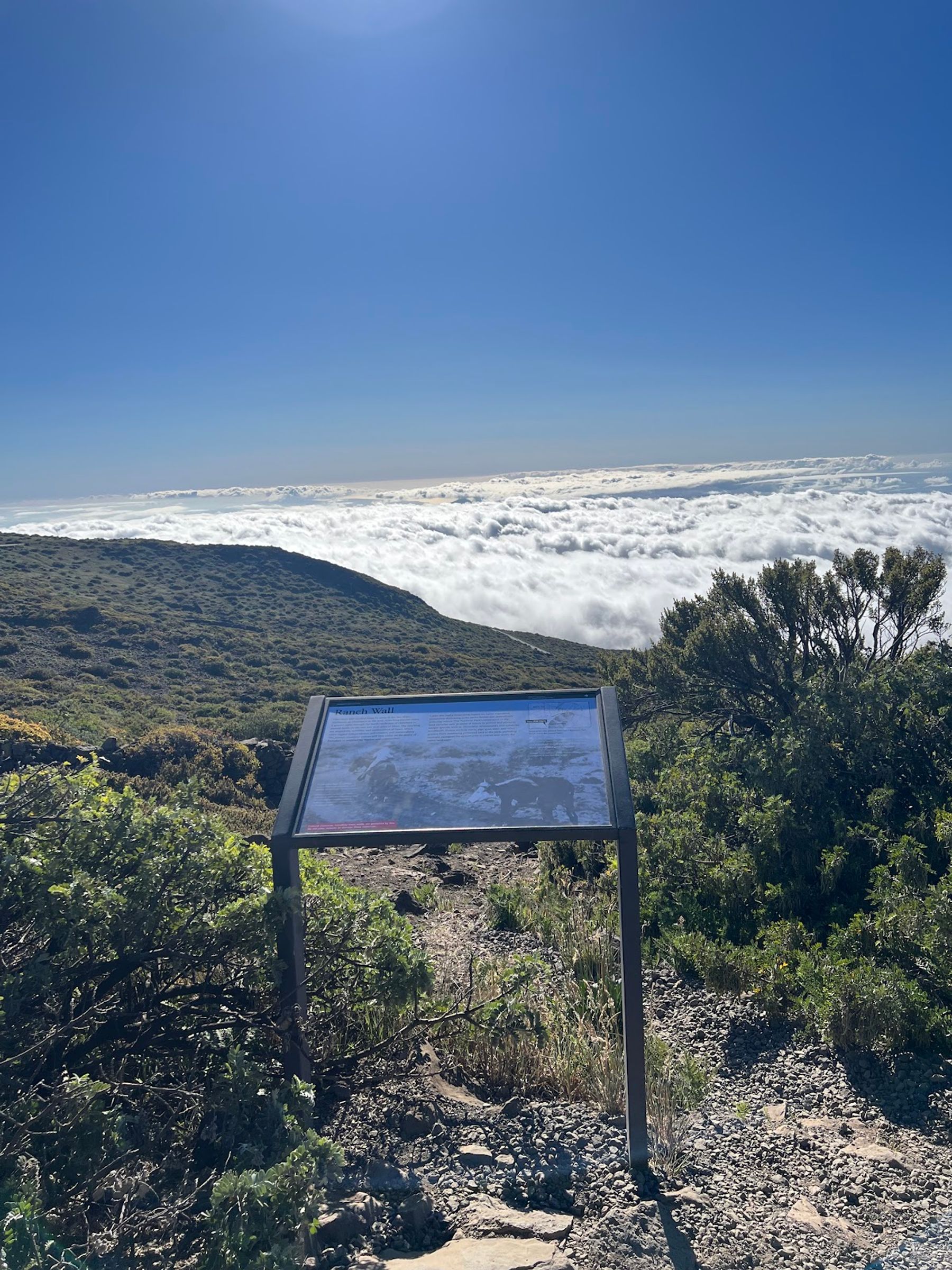 Photo 7 of Leleiwi Overlook in Kula, Maui