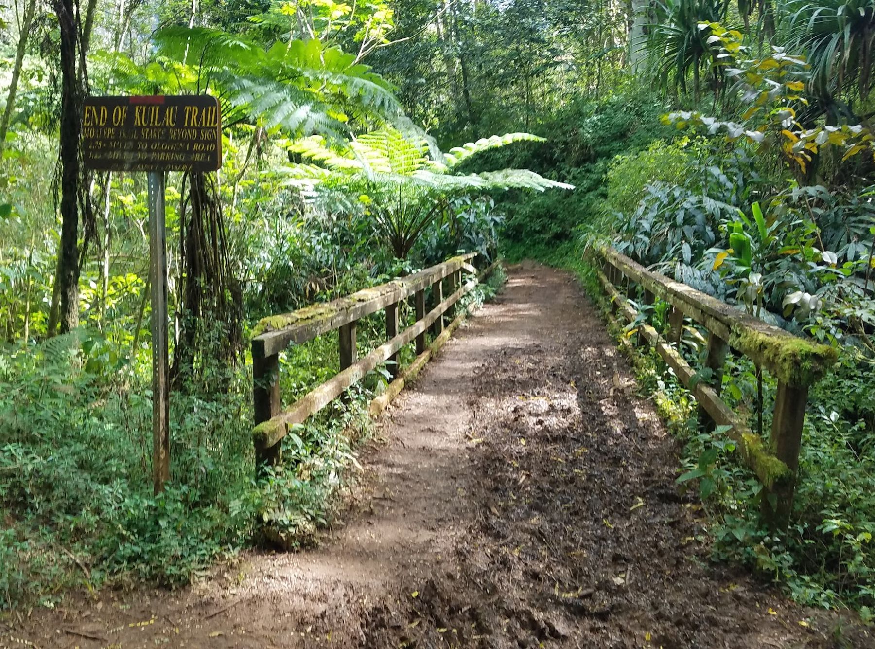 Kuilau Ridge Trailhead in Kapaʻa, Kaua‘i photo 2