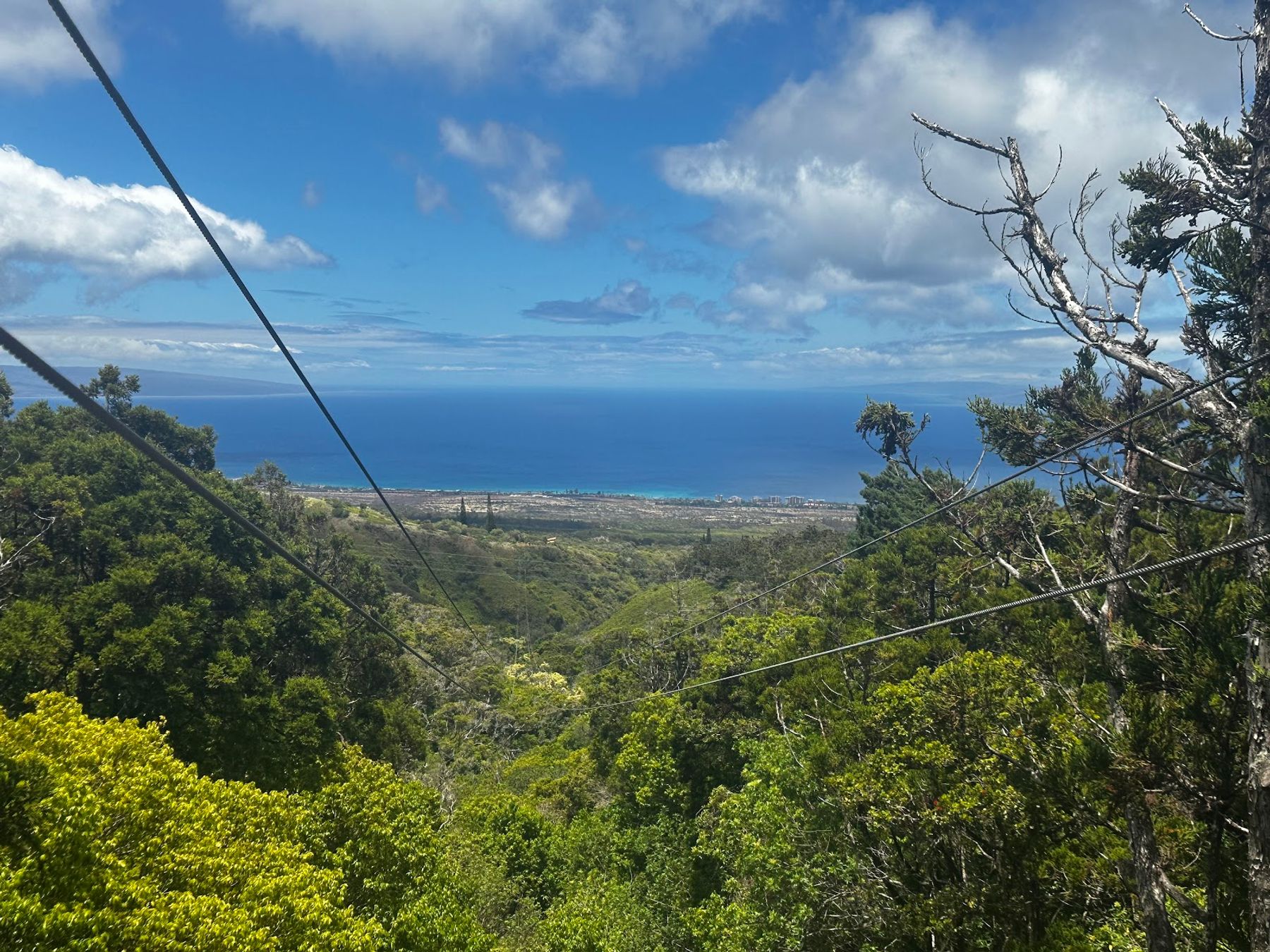 Photo 6 of Kapalua Ziplines in Kapalua, Maui