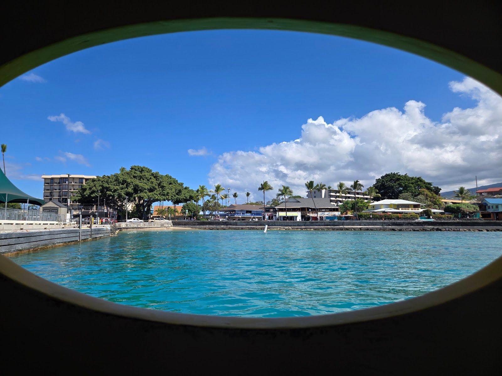 Photo 4 of Kona Glassbottom Boat in Kailua-Kona, Big Island