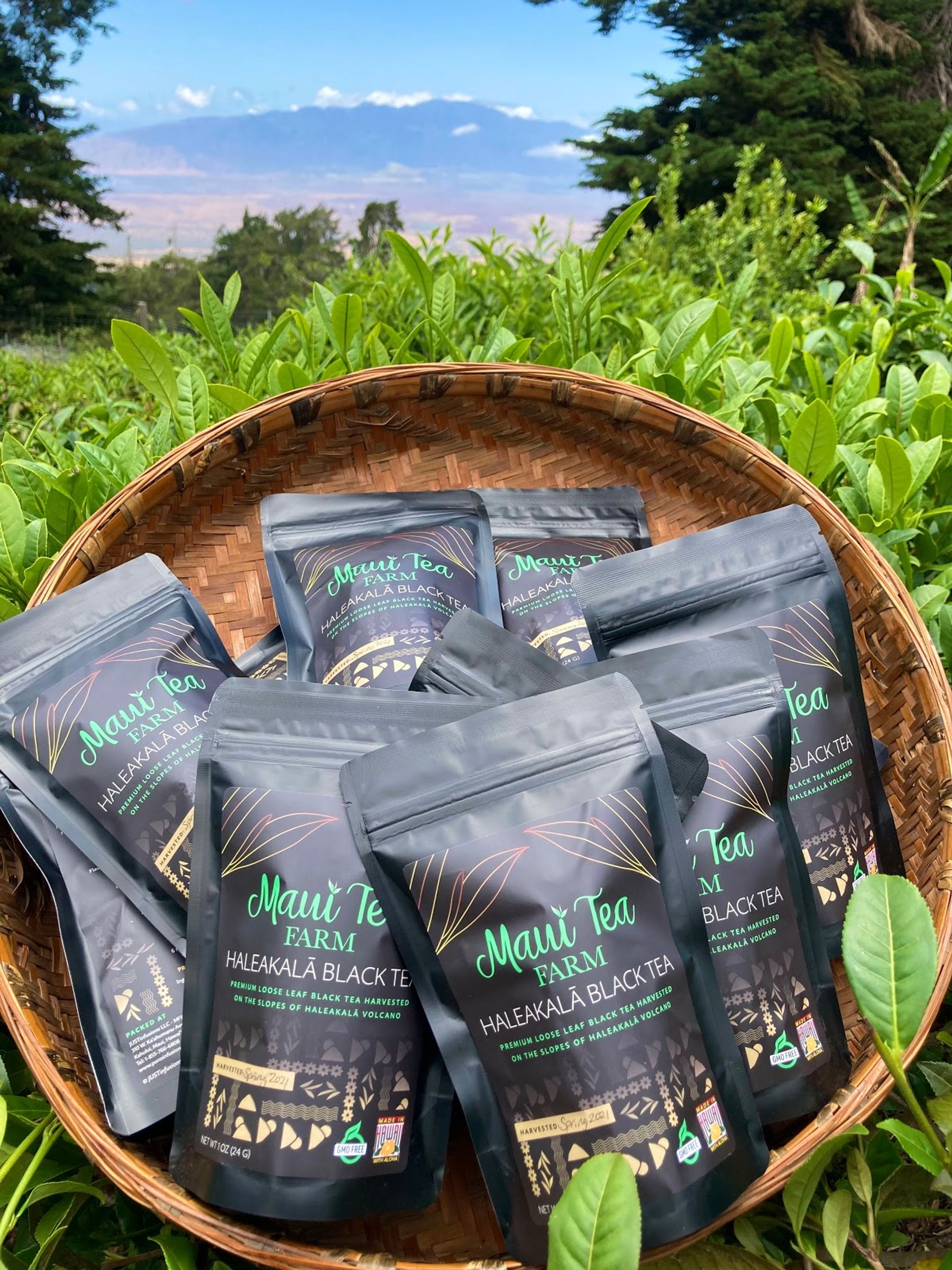 Photo 1 of Maui Tea Farm in Kula, Maui