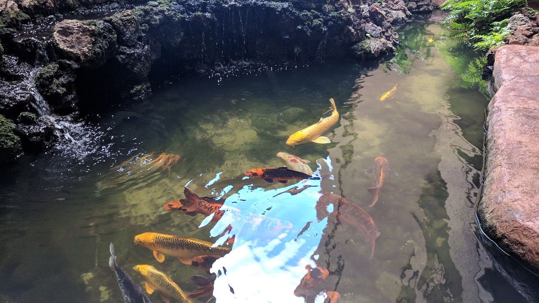 Photo 6 of Maui Island Sands Resort in Māʻalaea, Maui