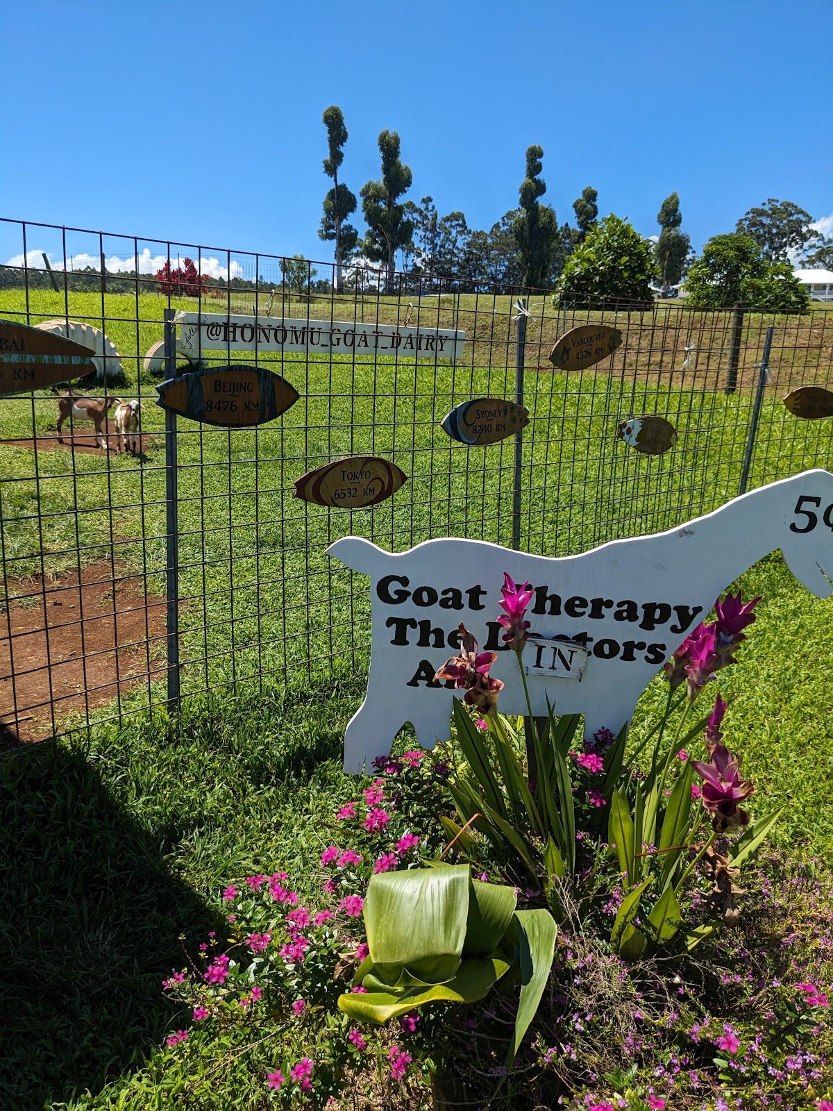 Photo 10 of Honomu Goat Dairy in Greater Hilo, Big Island