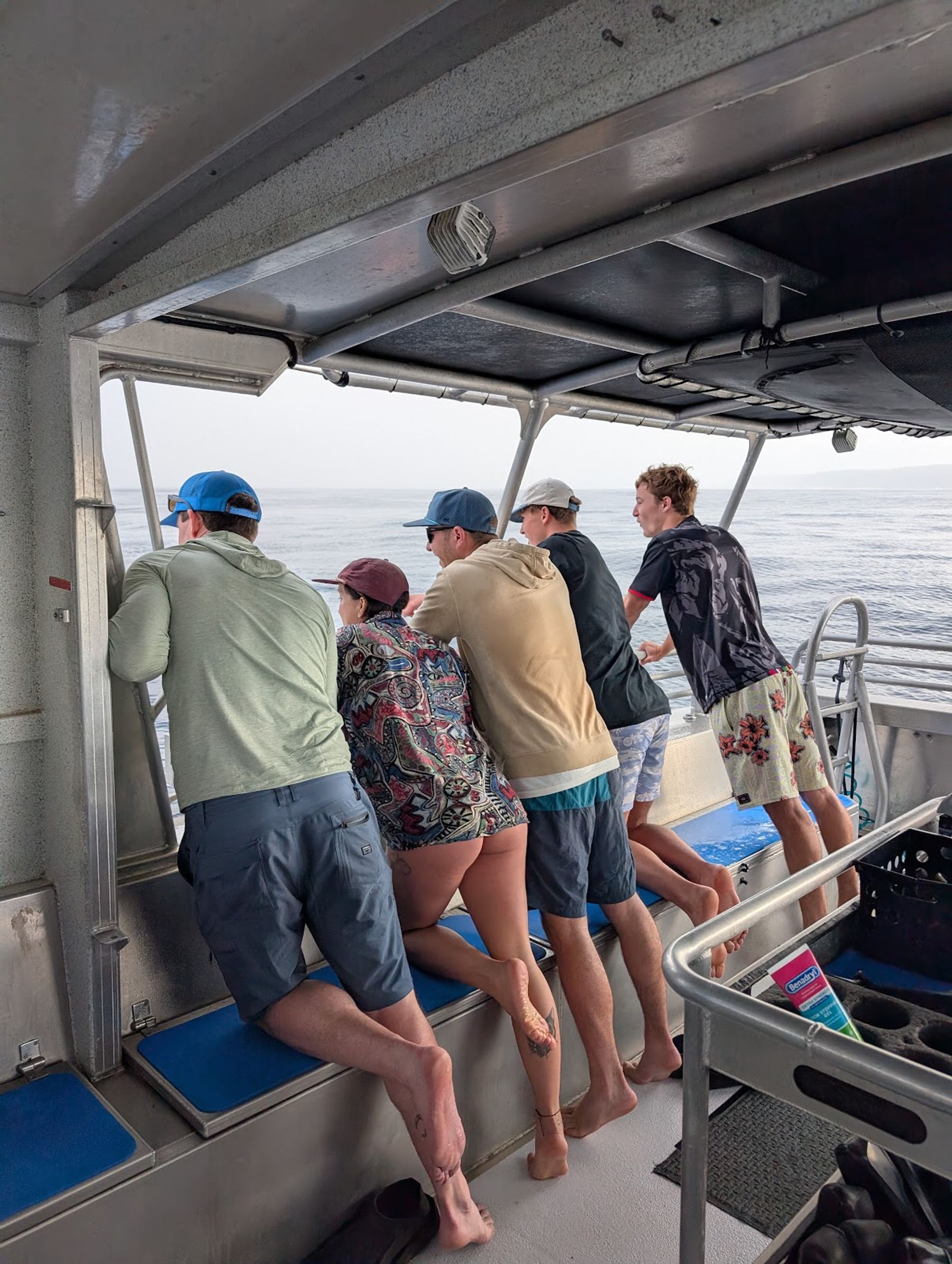 Photo 9 of One Ocean Diving in Haleʻiwa, Oahu