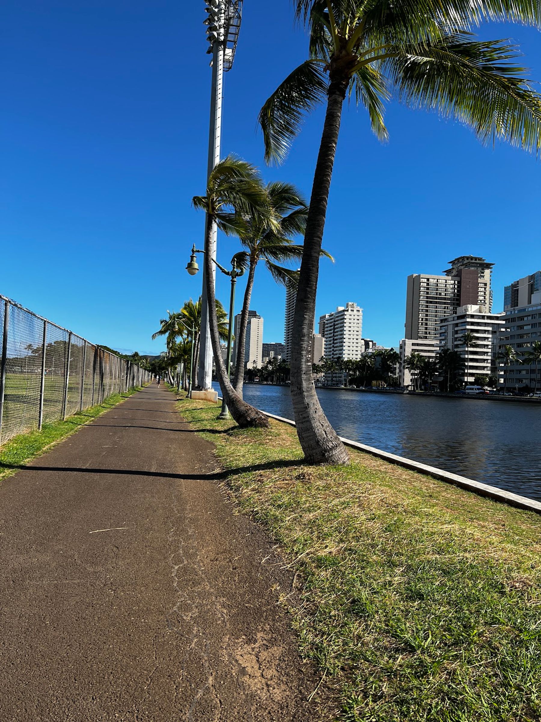 Photo 9 of Ala Wai Community Park in Ala Moana & Mōʻiliʻili, Oahu