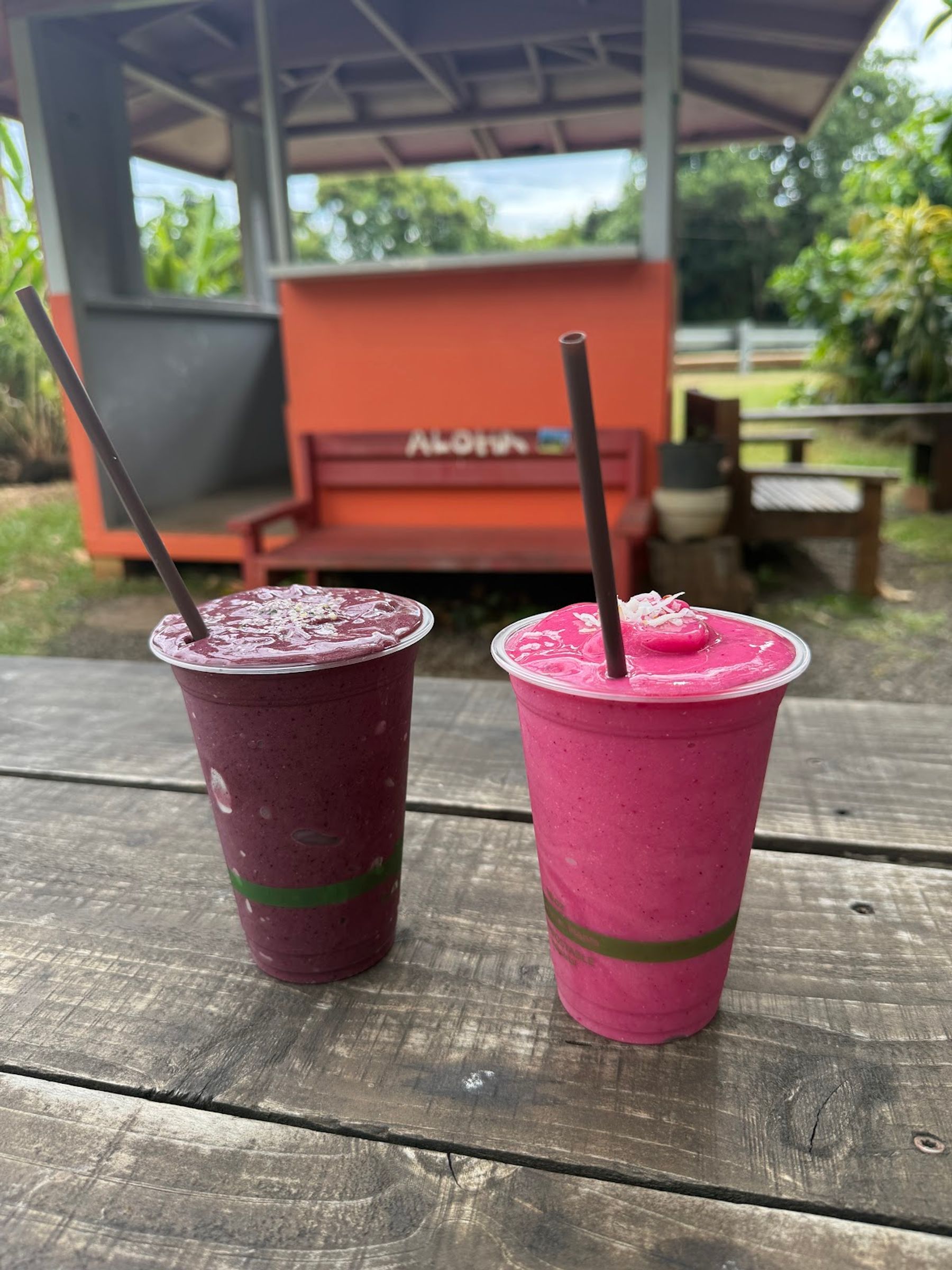 Photo 9 of Kalalea Juice Hale in Anahola, Kauai