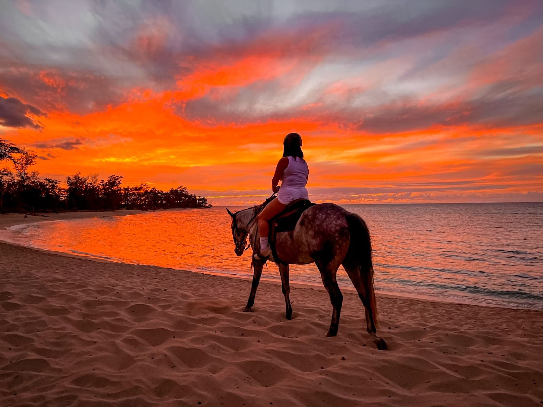 Photo 1 of Hawaii Polo Oceanfront Trail Rides in Waialua & Mokulēʻia, Oahu