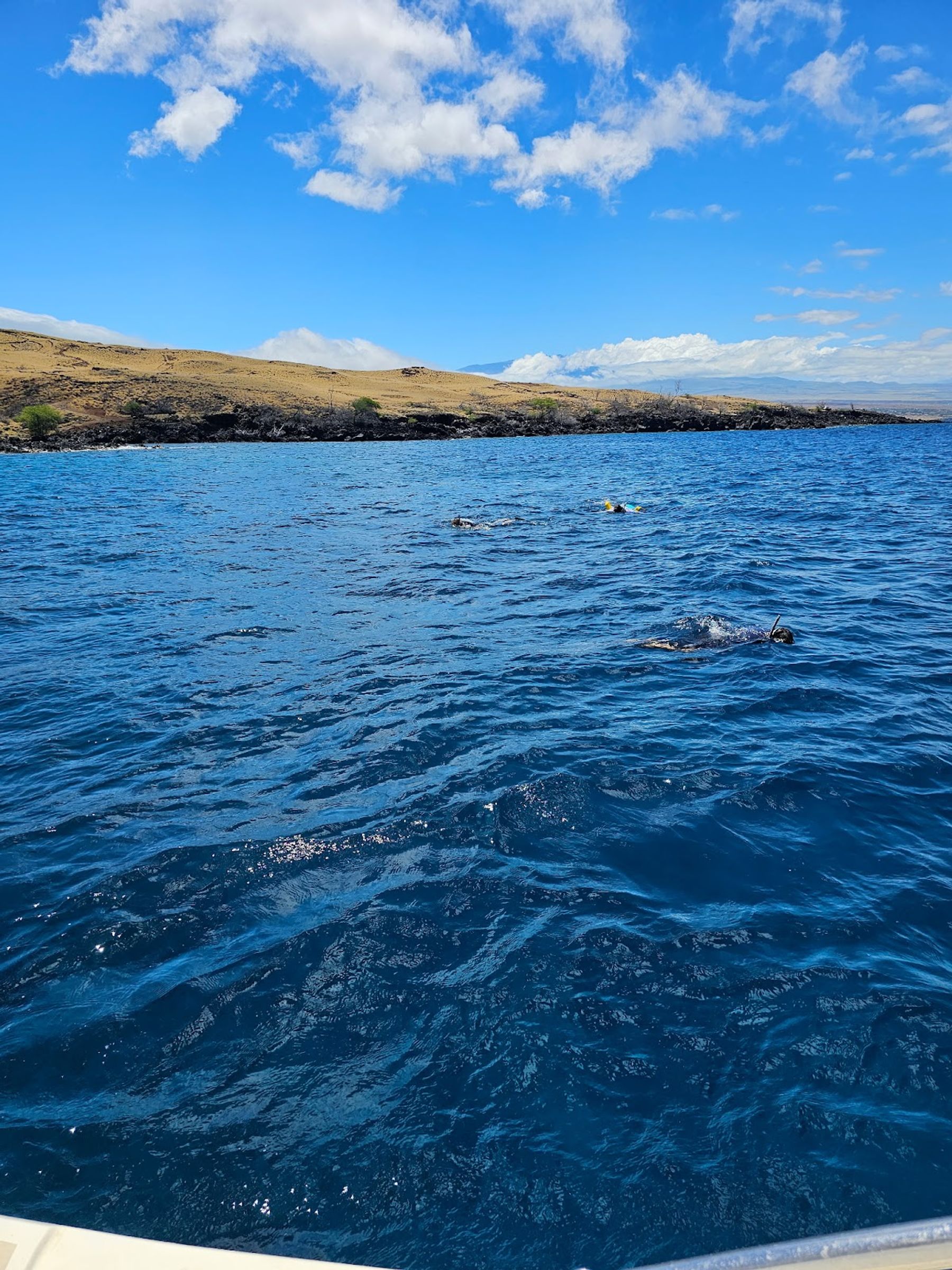 Photo 9 of Captain Chad's Charters in Mauna Kea Beach, Big Island