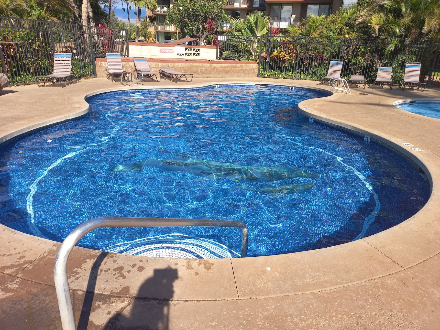 Photo 3 of Kauhale Makai in Kīhei, Maui