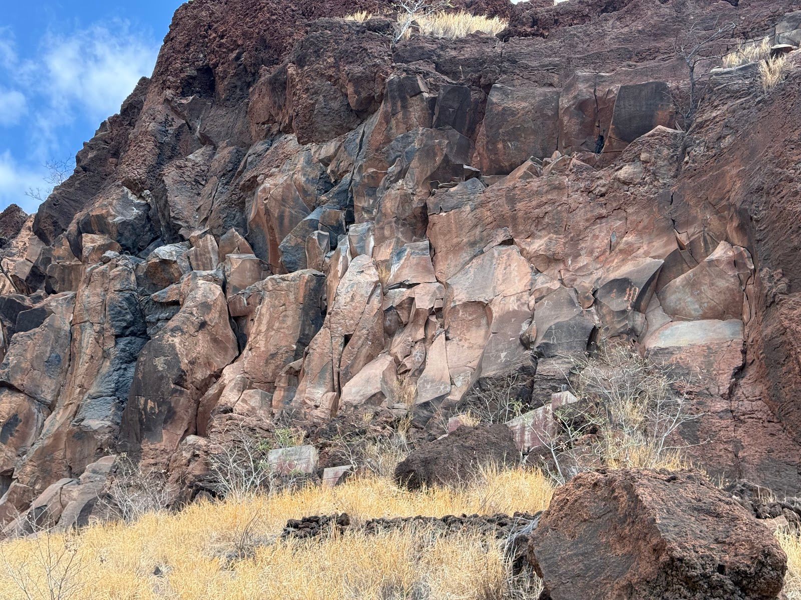 Photo 3 of Olowalu Petroglyphs in Olowalu, Maui