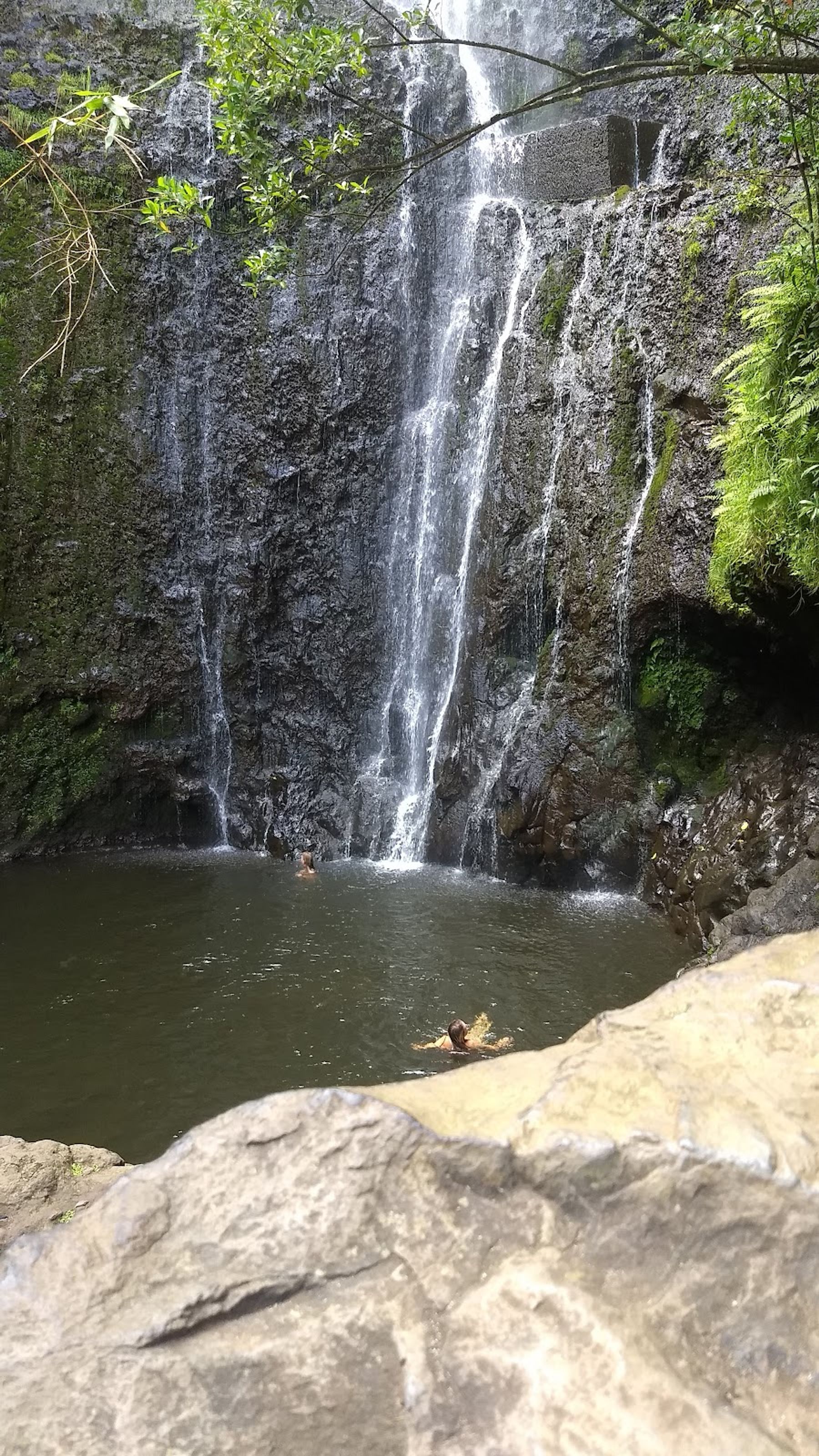 Photo 6 of Polynesian Adventure Tours in Kahului, Maui