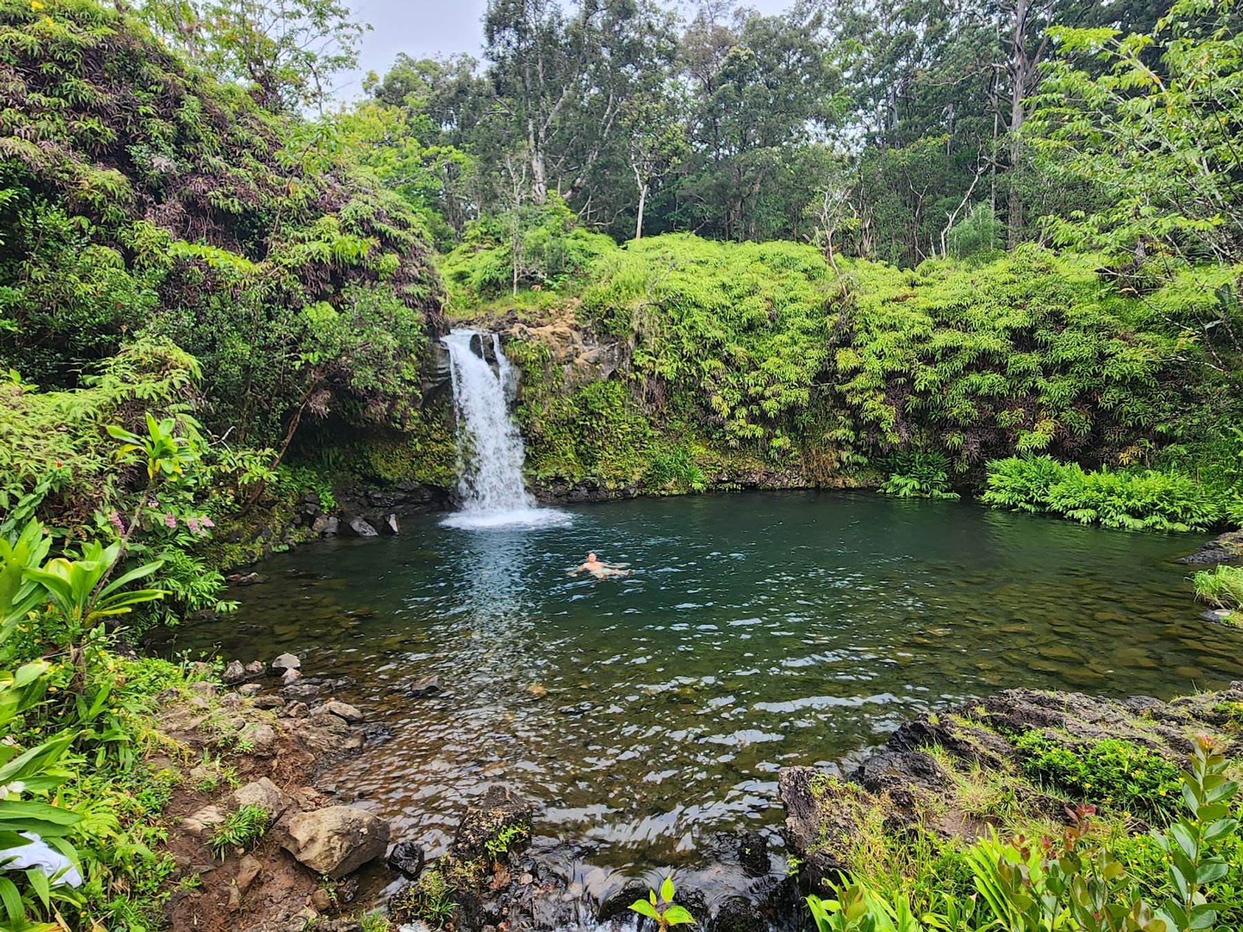 Photo 3 of Aloha Sunshine Tours in Kaimukī & Pālolo, Oahu