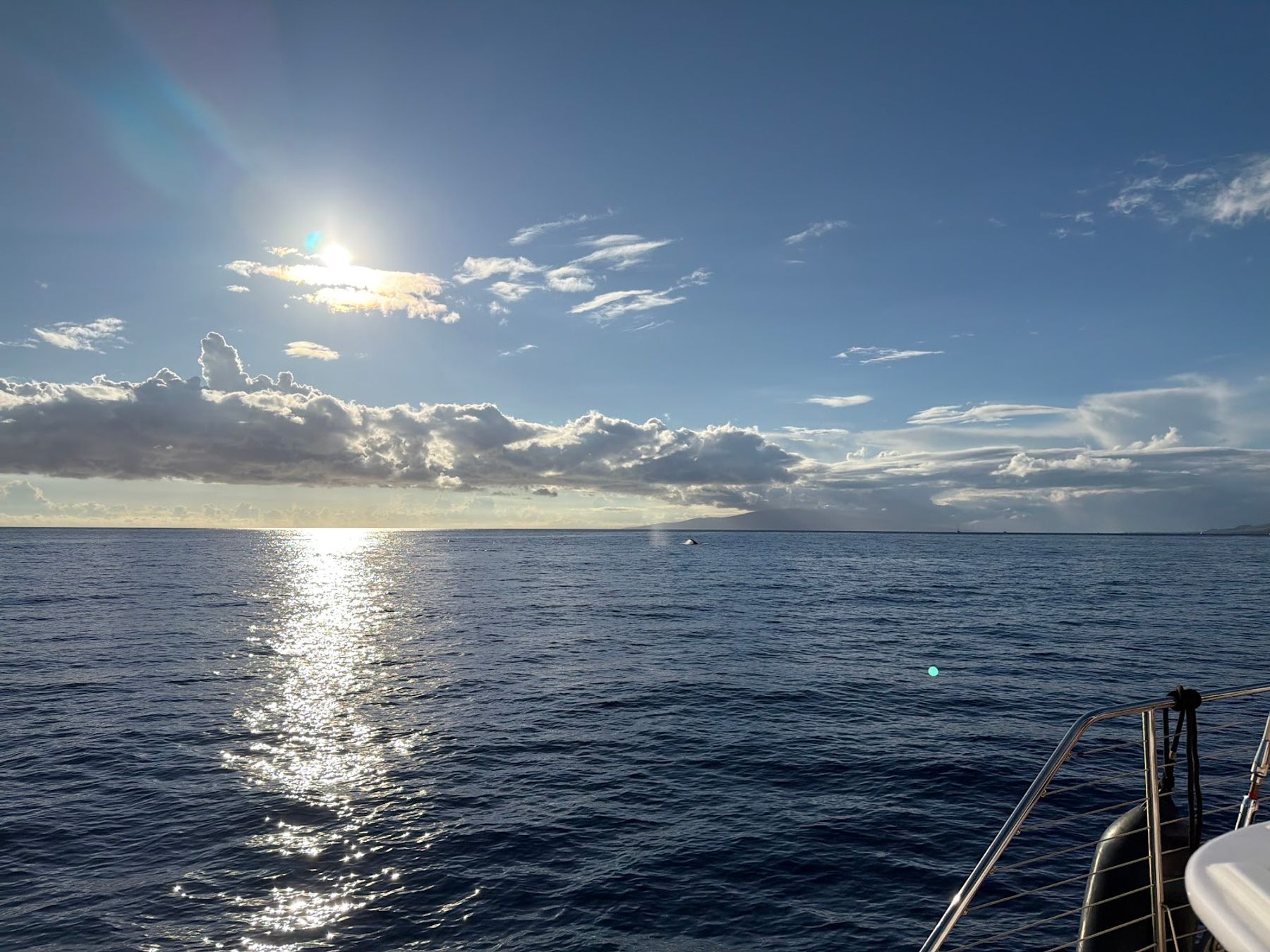 Photo 2 of Trilogy Excursions in Lāhainā, Maui