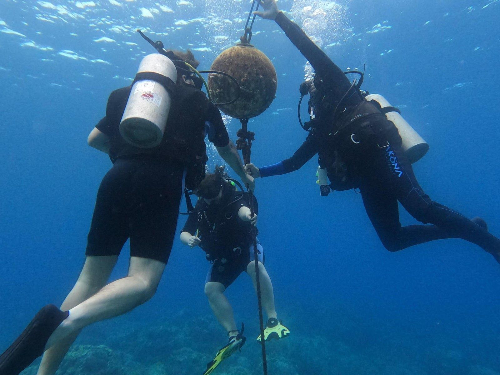 Photo 9 of Ocean Eco Tours in Kailua-Kona, Big Island