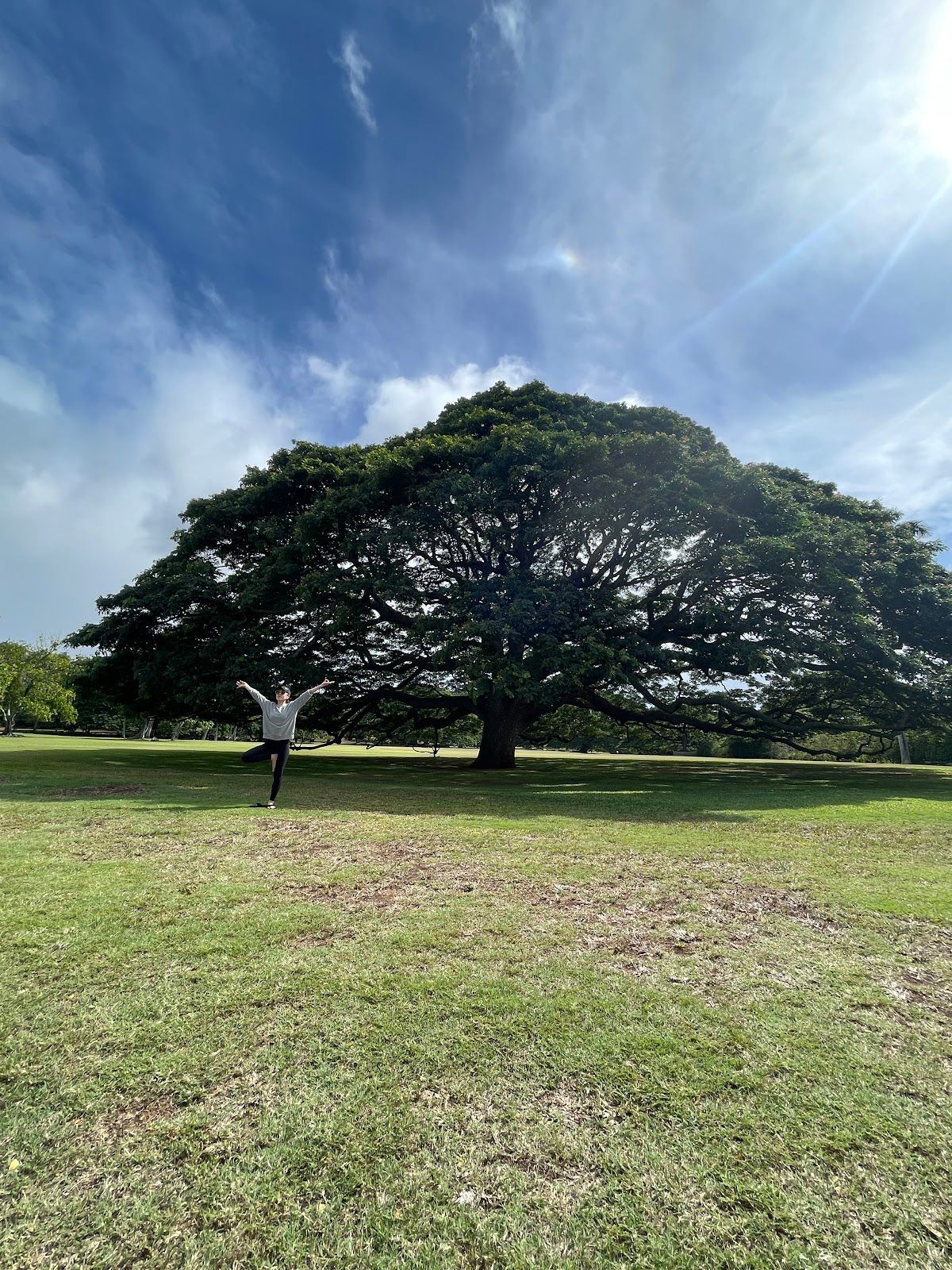 Photo 6 of Moanalua Gardens in Pearl Harbor & ʻAiea, Oahu