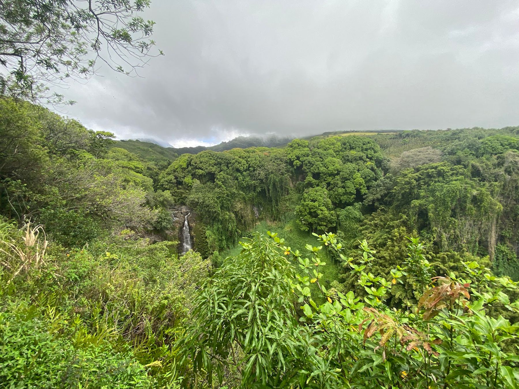 Photo 8 of Wailua Falls in Kīpahulu & Kaupō, Maui