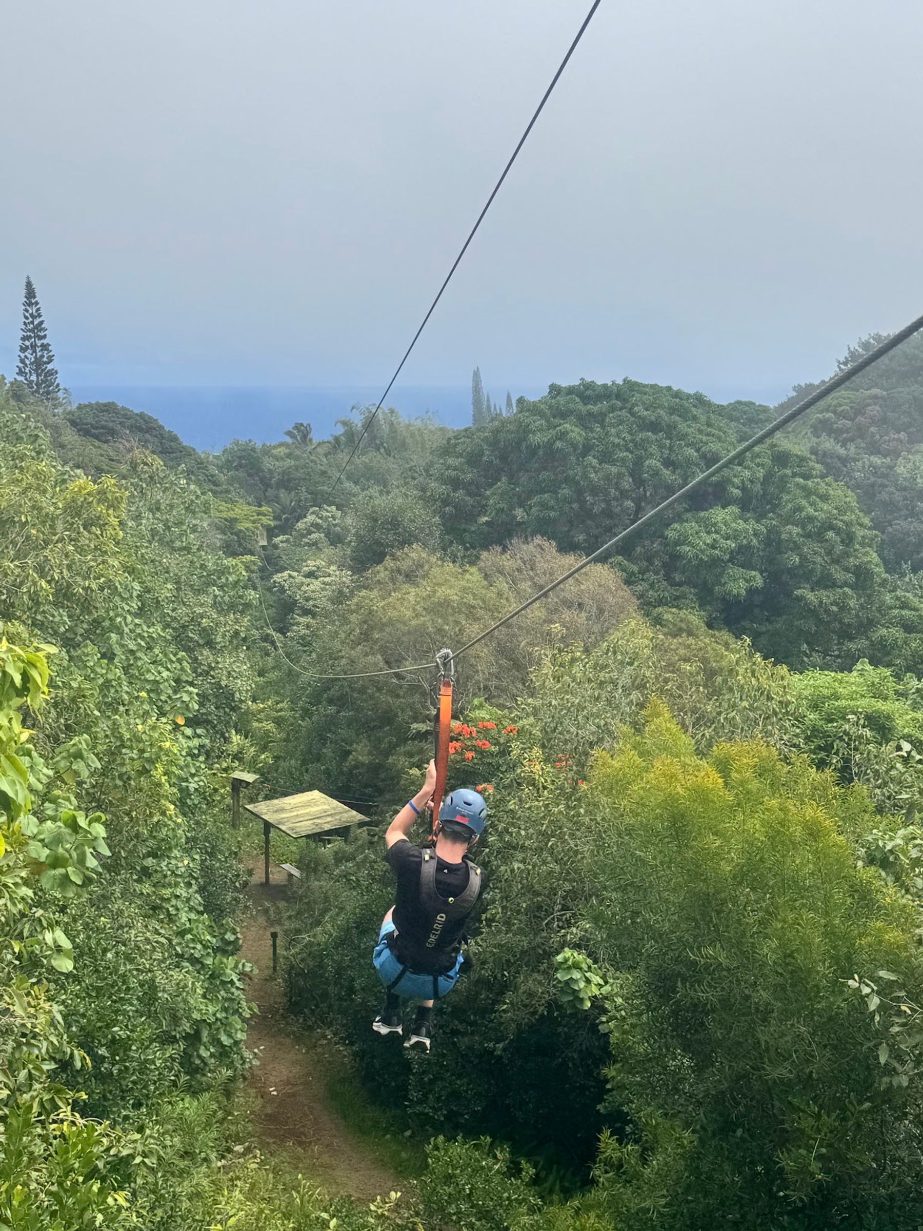 Photo 3 of Jungle Zipline Maui-HI in Haʻikū, Maui