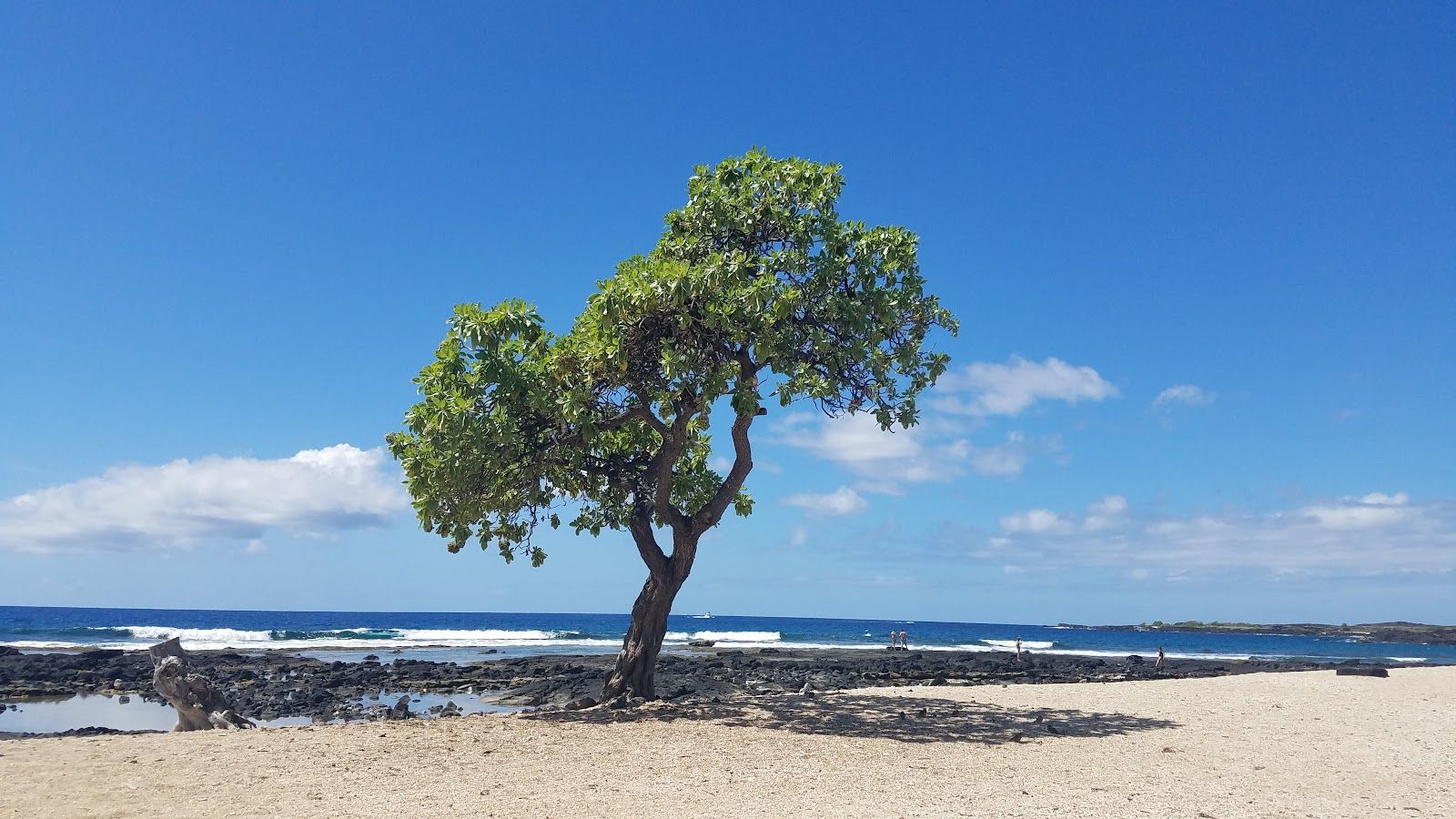 Photo 2 of Old Kona Airport State Recreation Area in Kailua-Kona, Big Island