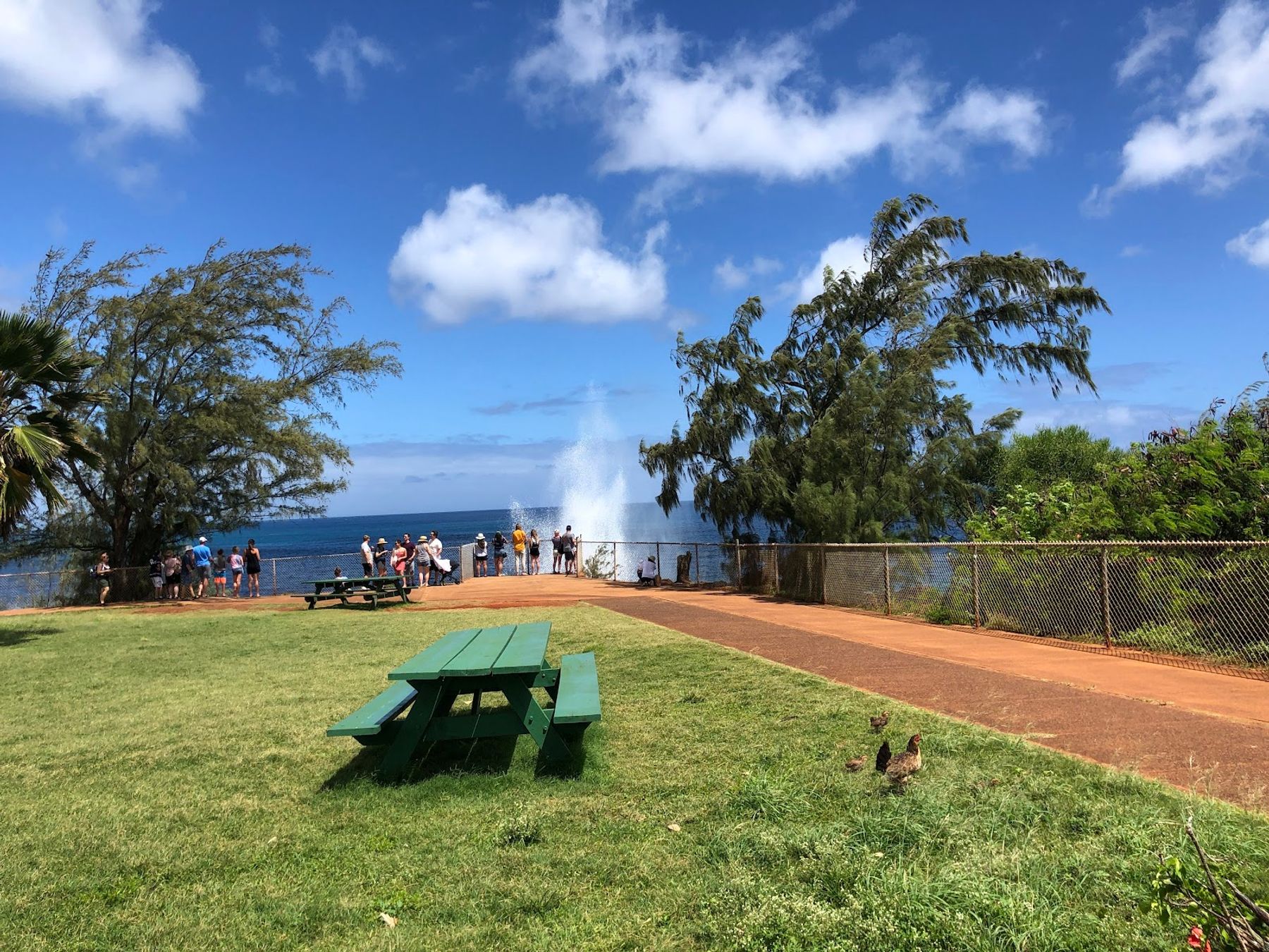 Spouting Horn Park in Poʻipū, Kaua‘i photo 5