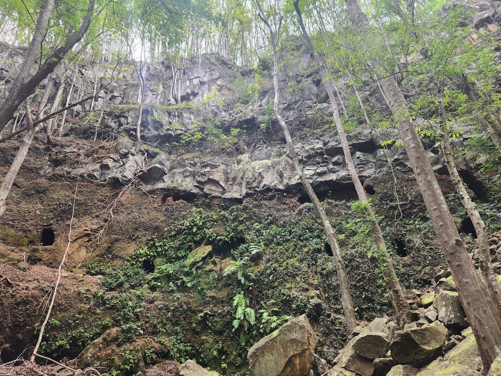 Photo 6 of Waihou Spring Trail in Makawao & Pukalani, Maui