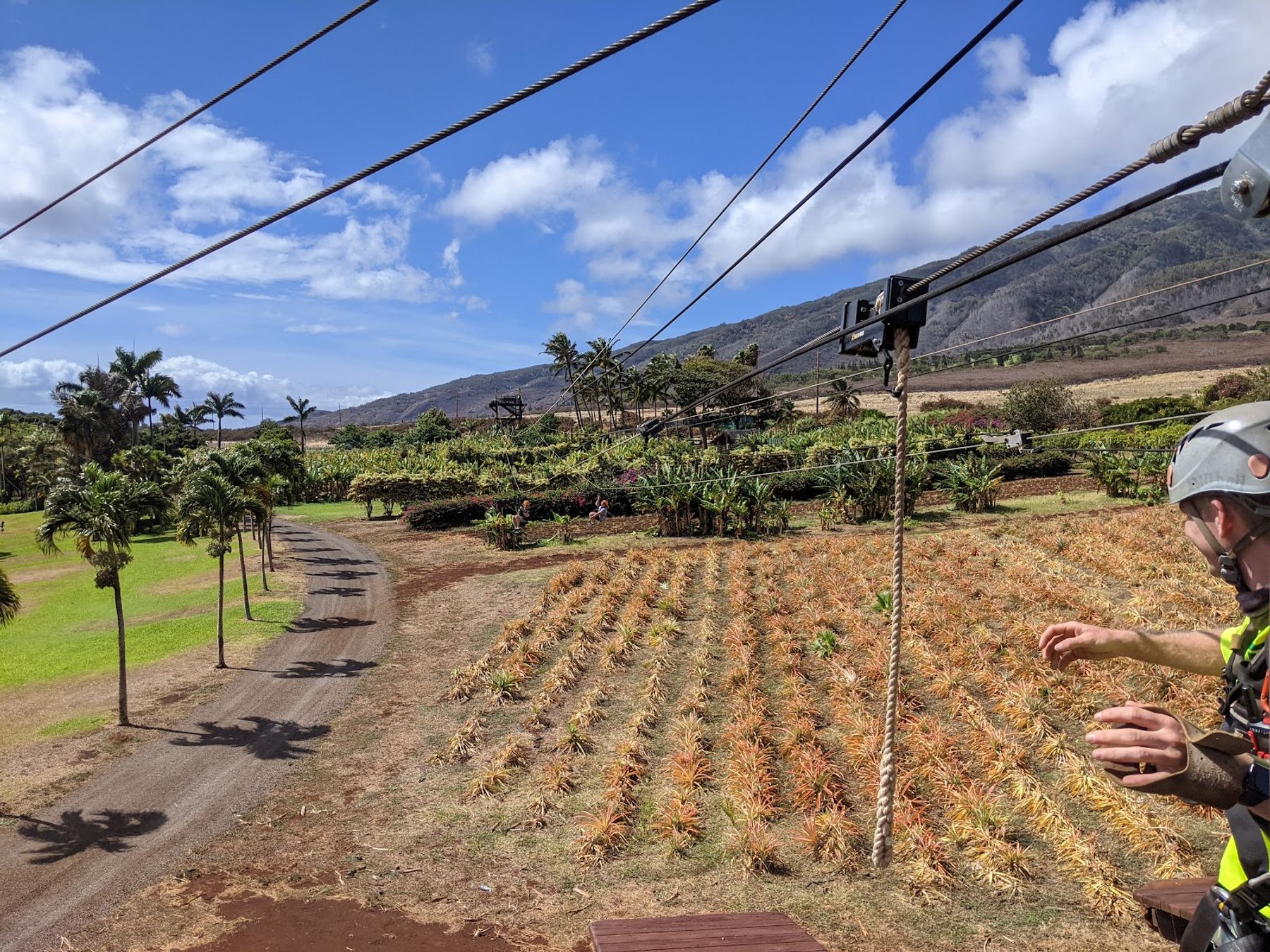 Photo 5 of Maui Zipline Company in Wailuku, Maui