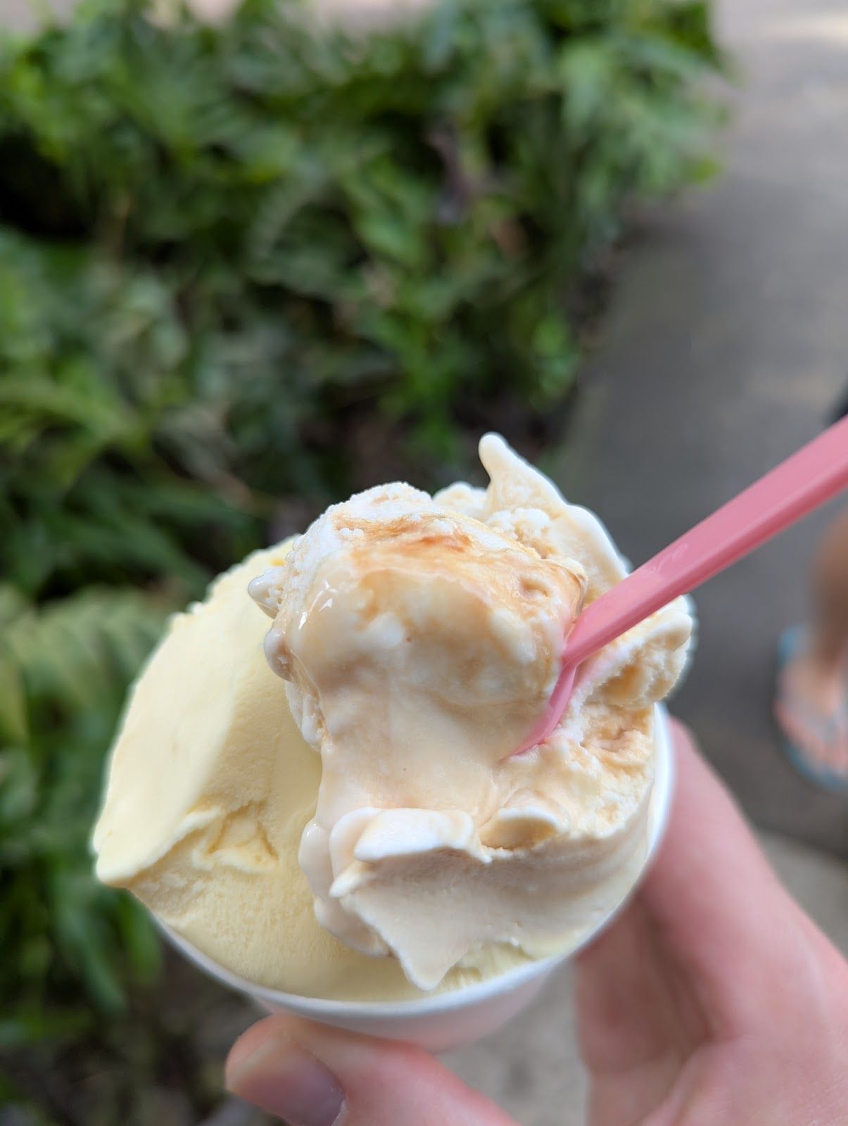 Photo 5 of Gypsea Gelato in Kailua-Kona, Big Island