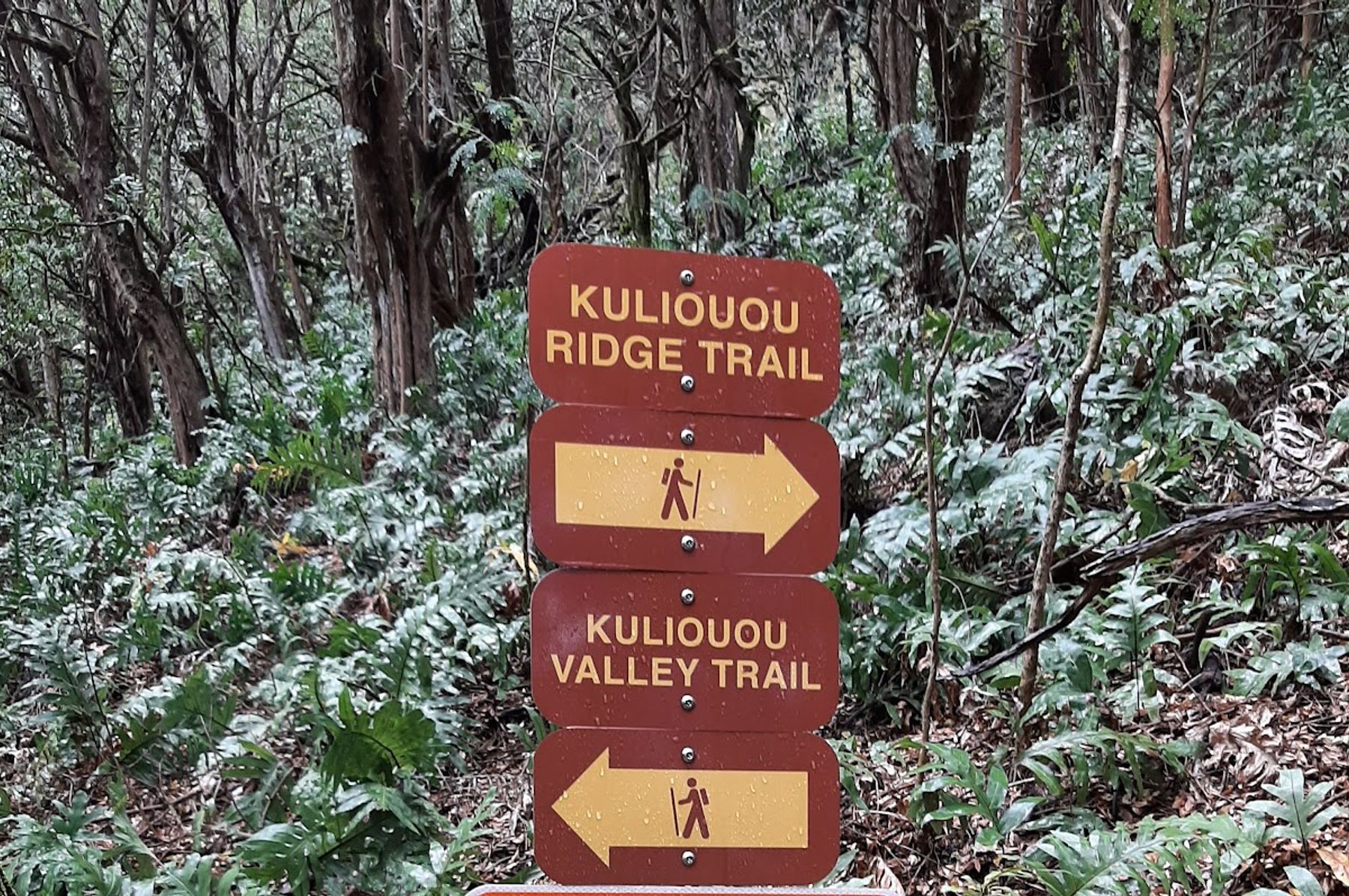 Photo 9 of Kuli‘ou‘ou Ridge Trailhead in Hawaiʻi Kai & East Honolulu, Oahu