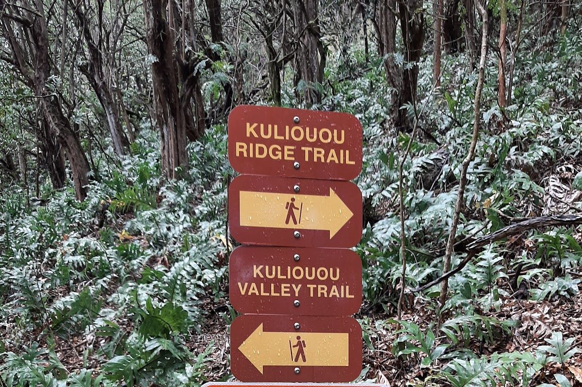 Photo 9 of Kuli‘ou‘ou Ridge Trailhead in Hawaiʻi Kai & East Honolulu, Oahu
