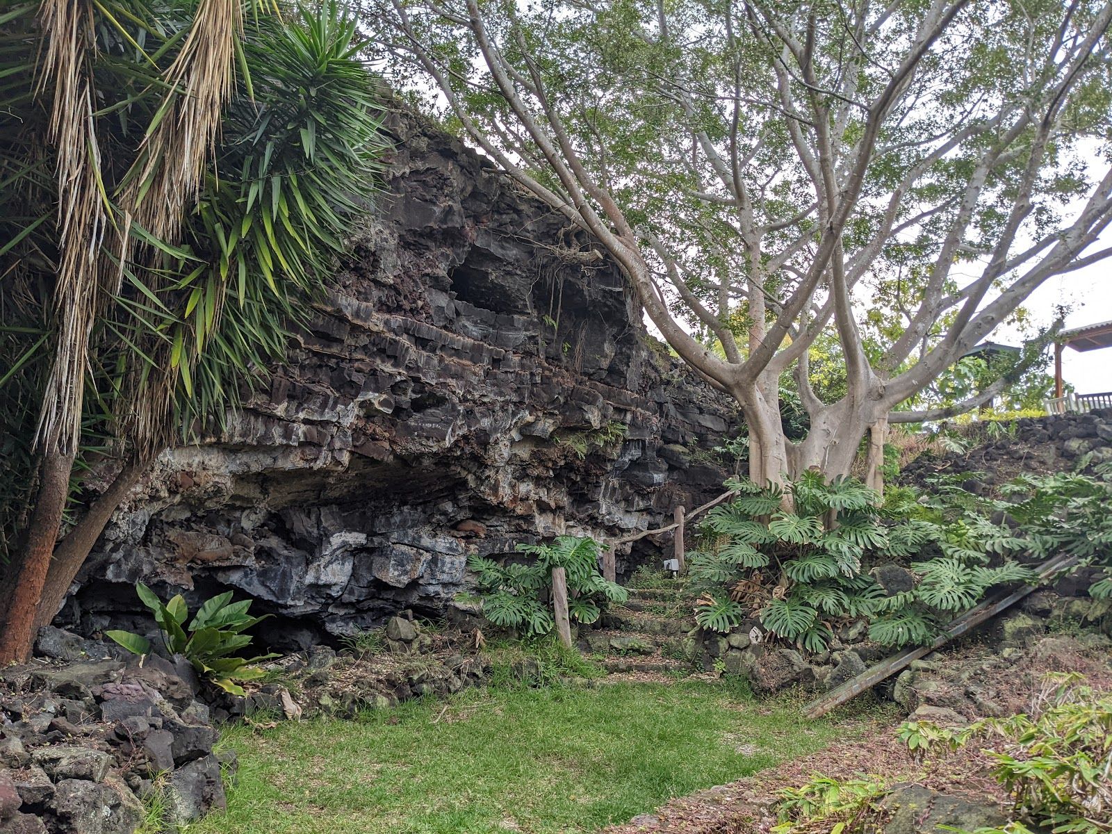 Photo 7 of Kula Kai Cavern in South Point, Big Island