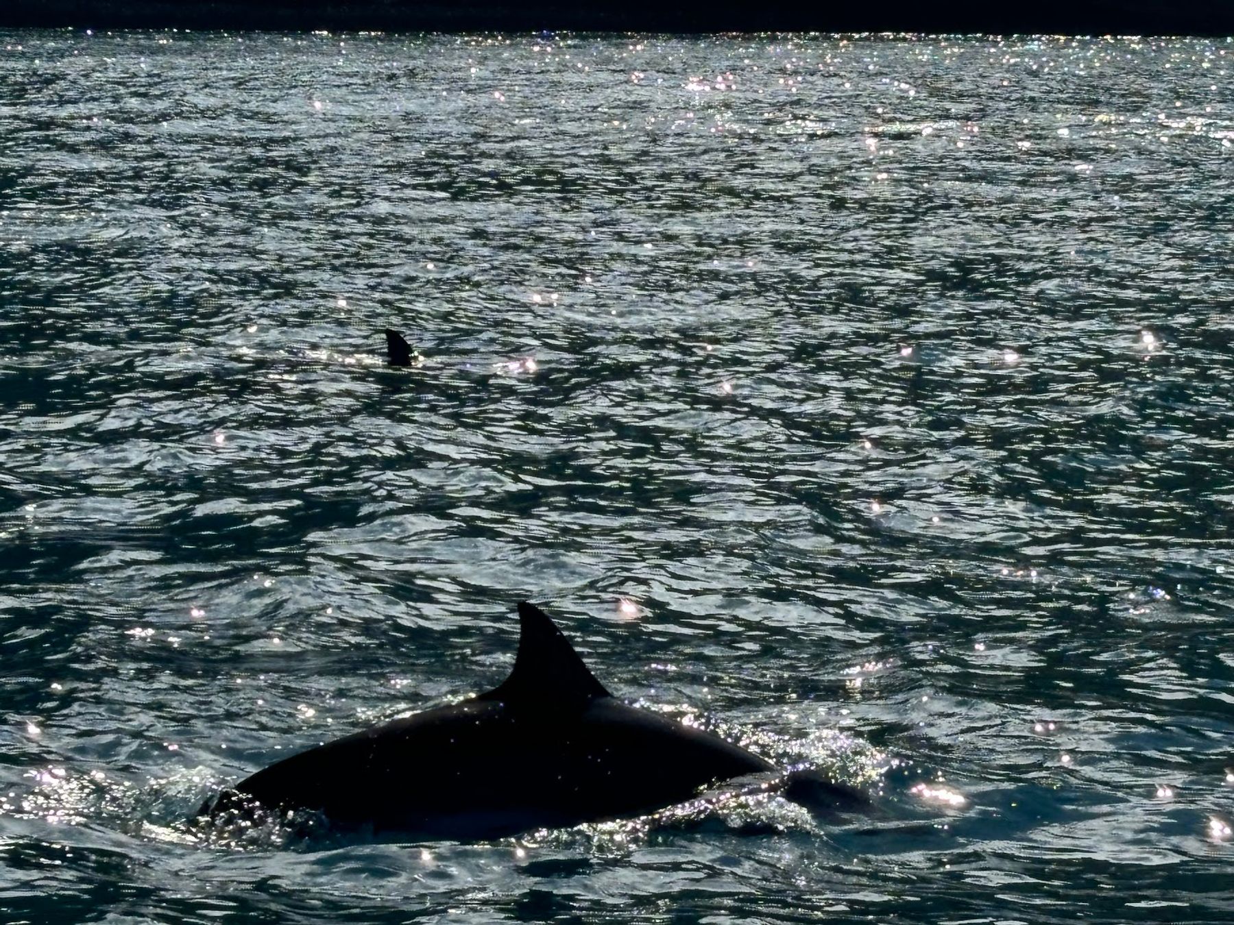 Na Pali Riders in Waimea, Kaua‘i photo 4