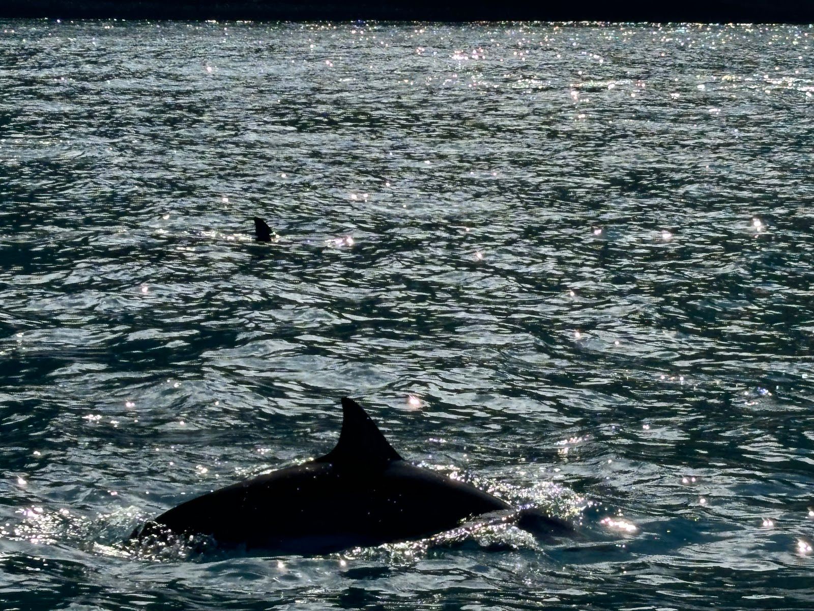 Na Pali Riders in Waimea, Kaua‘i photo 4