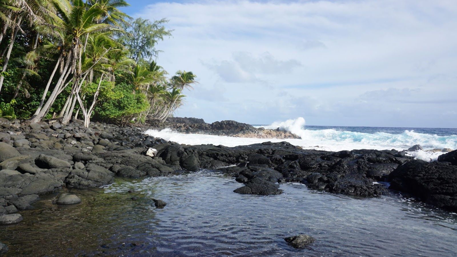 Photo 5 of Open Gate Hostel Hawaii in Volcano, Big-island