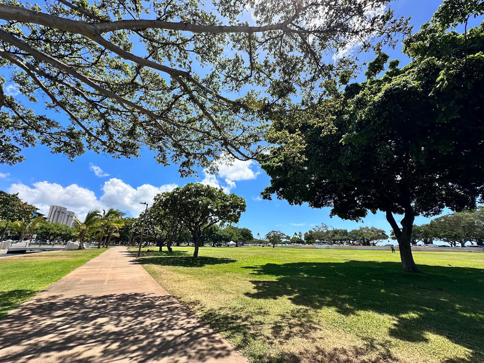 Photo 4 of Ala Moana Regional Park in Ala Moana & Mōʻiliʻili, Oahu