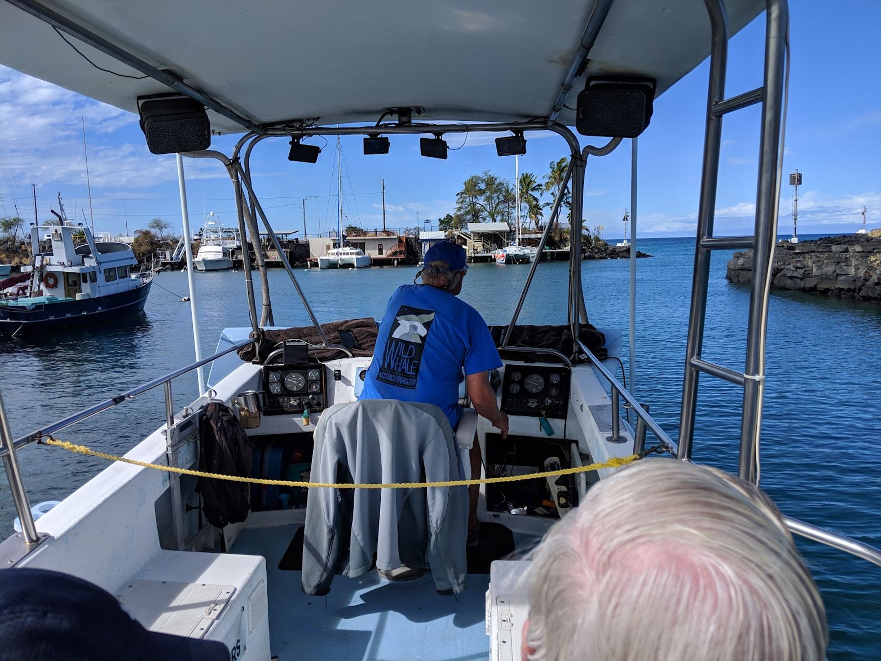 Photo 7 of Captain Dan McSweeney's Whale Watching Adventures in Kailua-Kona, Big Island