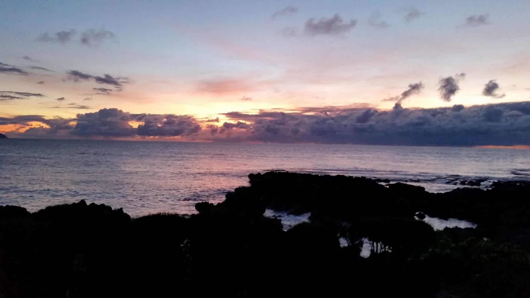 Photo 9 of The Coffee Bean & Tea Leaf Pupukea in Pūpūkea, Oahu