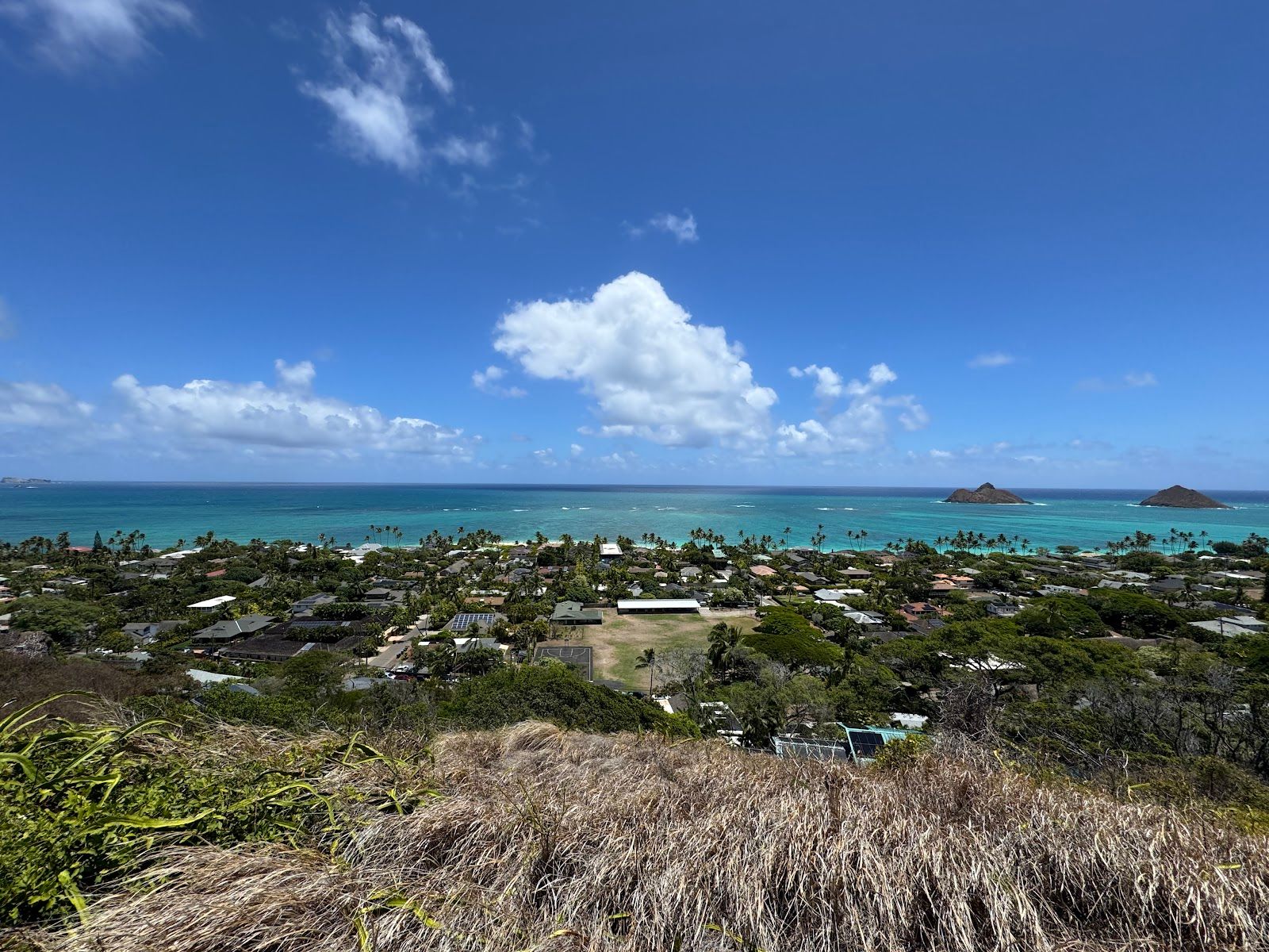 Photo 7 of Laniakea Beach in Haleʻiwa, Oahu