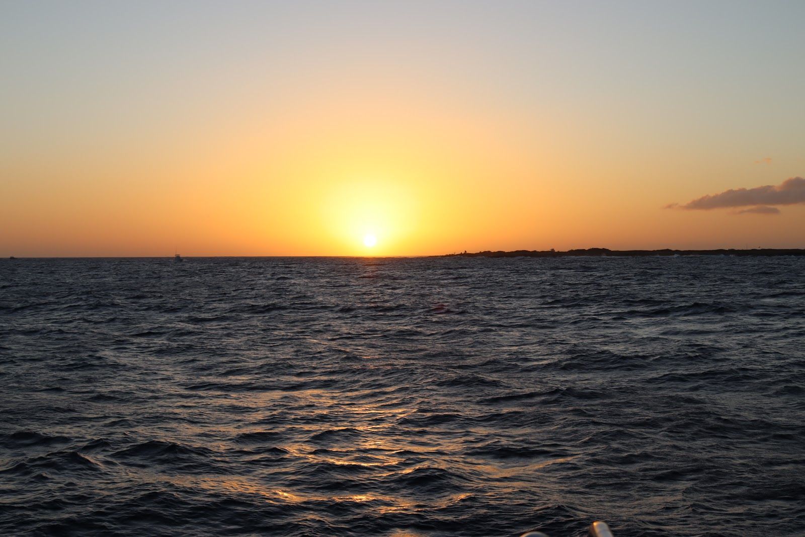 Kauai Sea Tours in Eleele, Kaua‘i photo 3