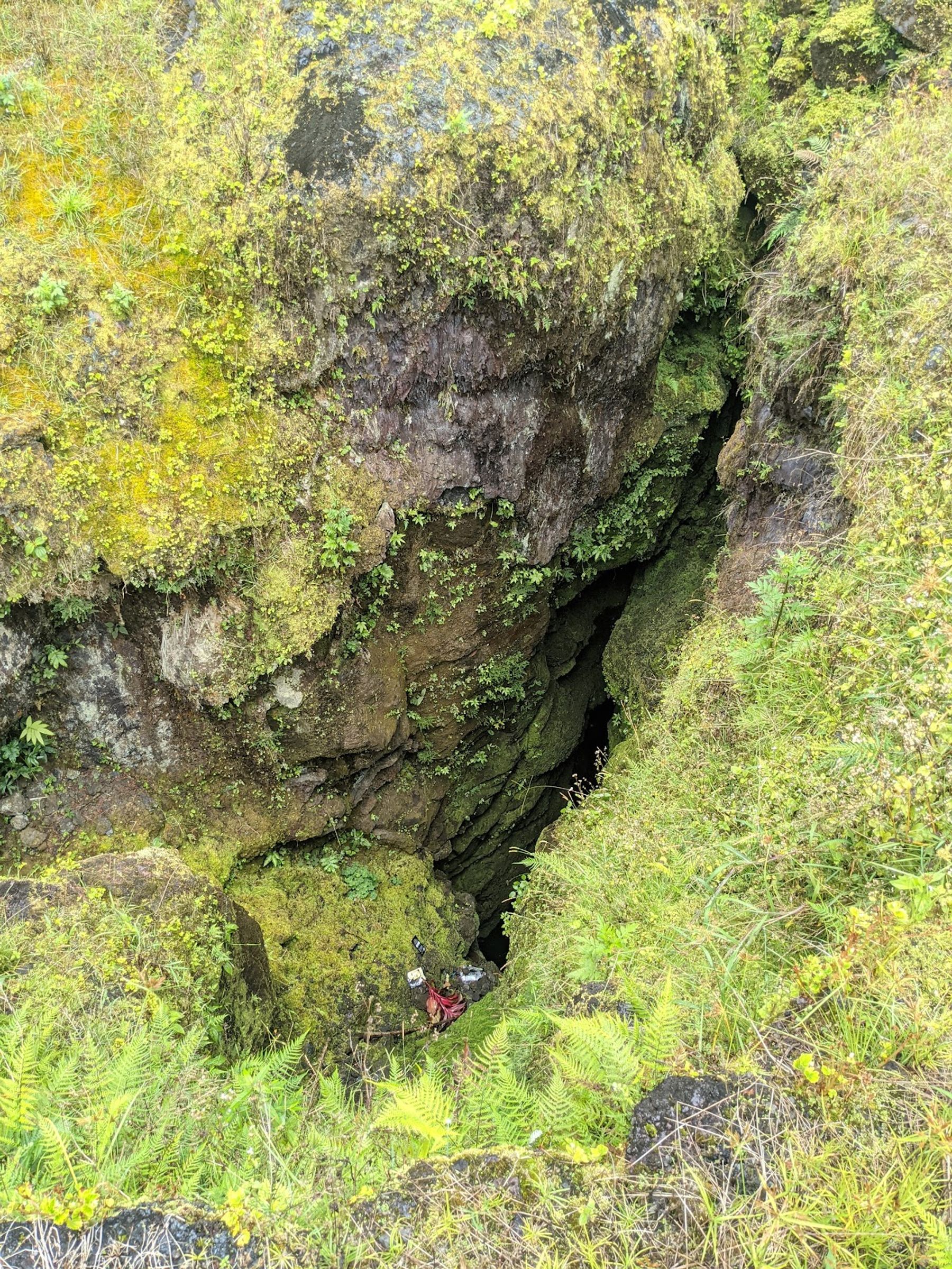 Photo 4 of Lava Tree State Monument in Pāhoa, Big Island
